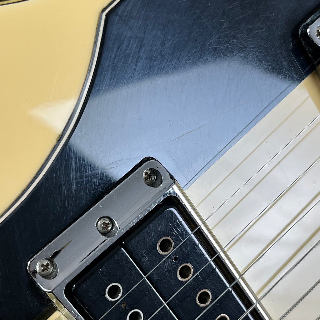 Ibanez DN500
