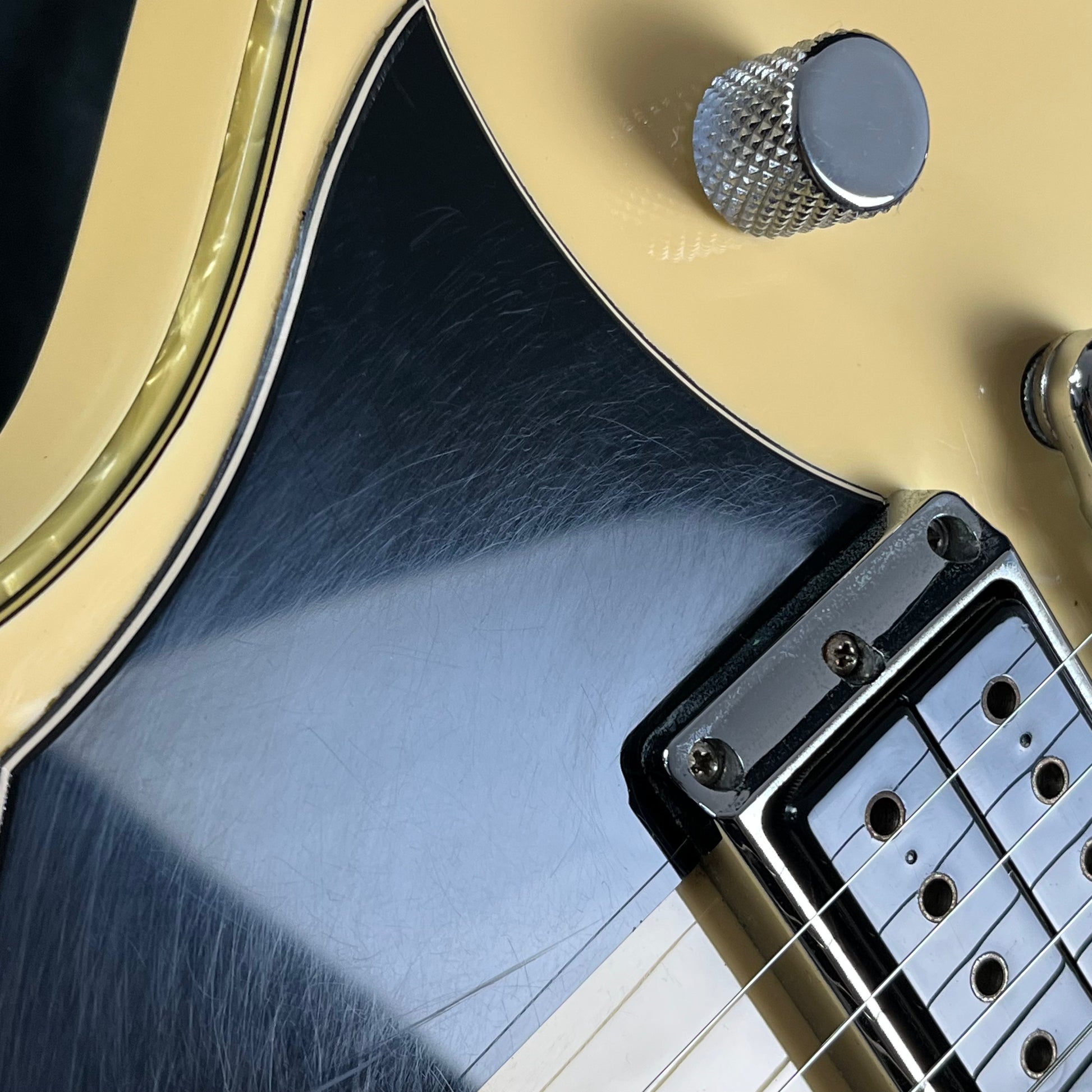 Ibanez DN500