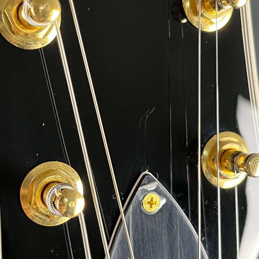 Burny Les Paul Custom