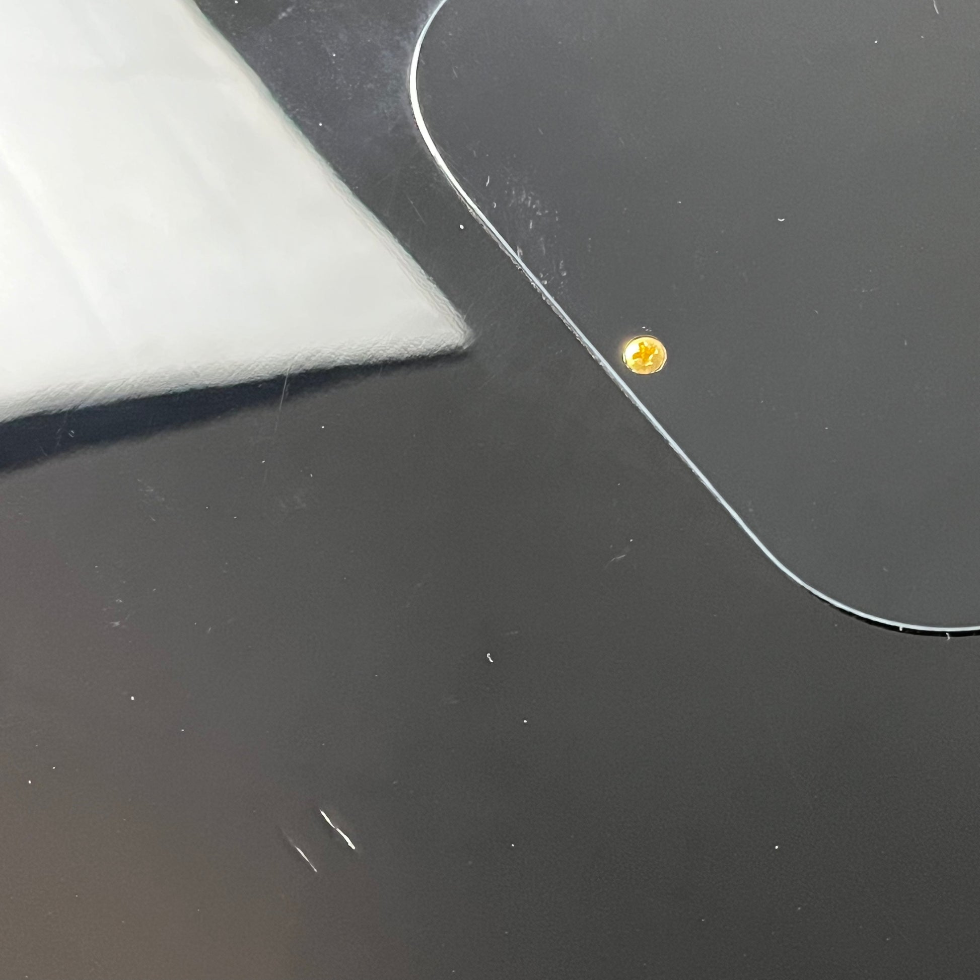 Burny Les Paul Custom