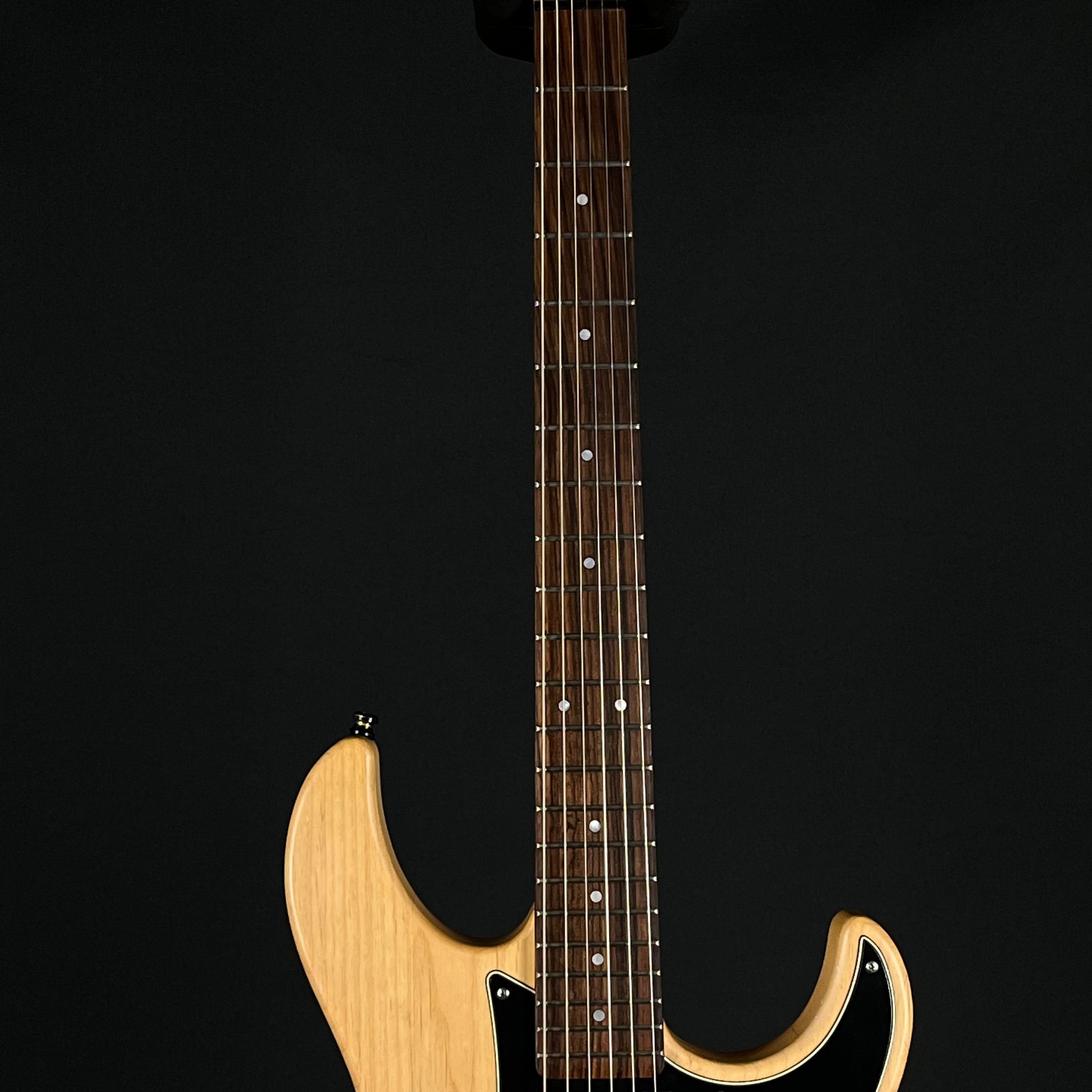 YAMAHA PAC120H