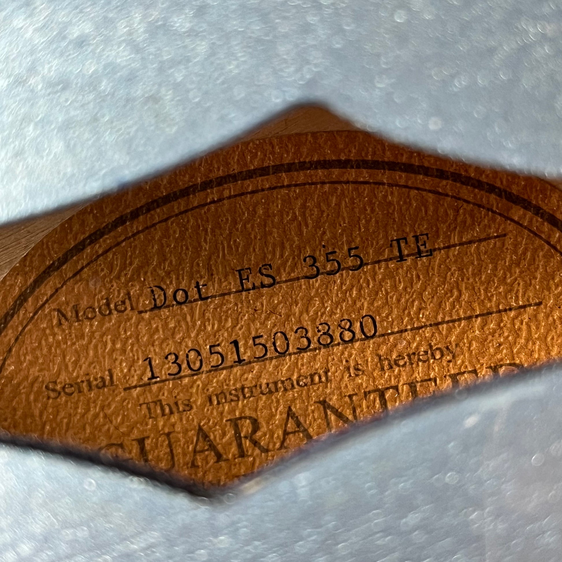 Epiphone Dot ES-355 TE