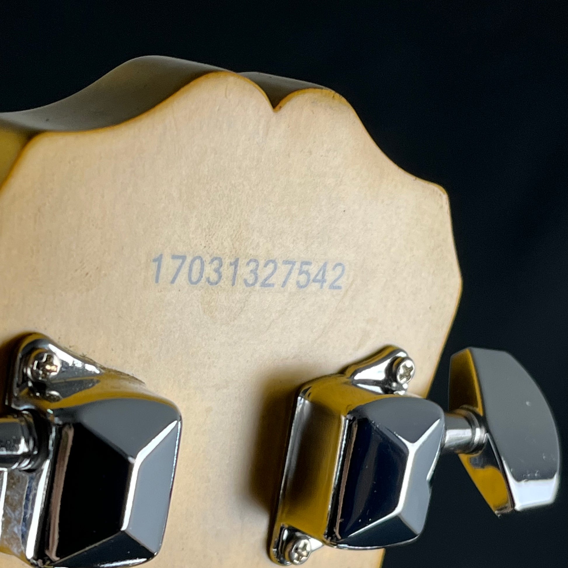 Epiphone Les Paul Special Bolt-on