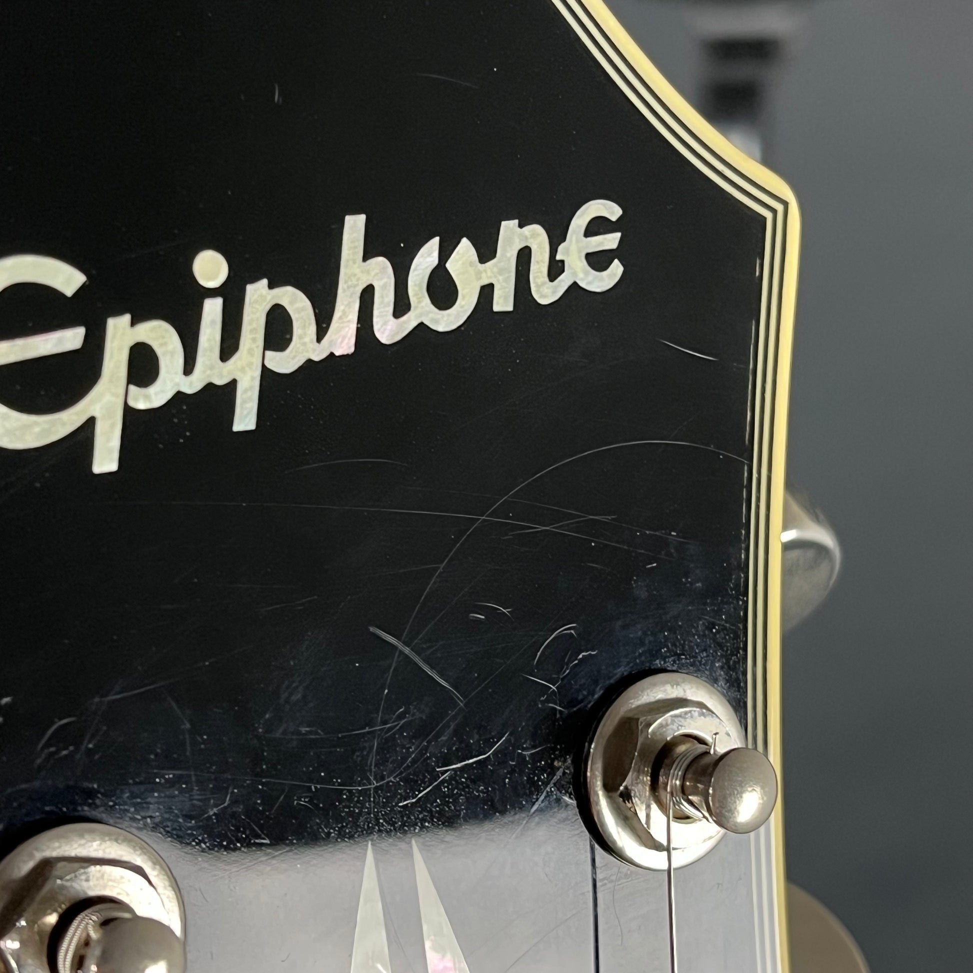 Epiphone Dot ES-355 TE