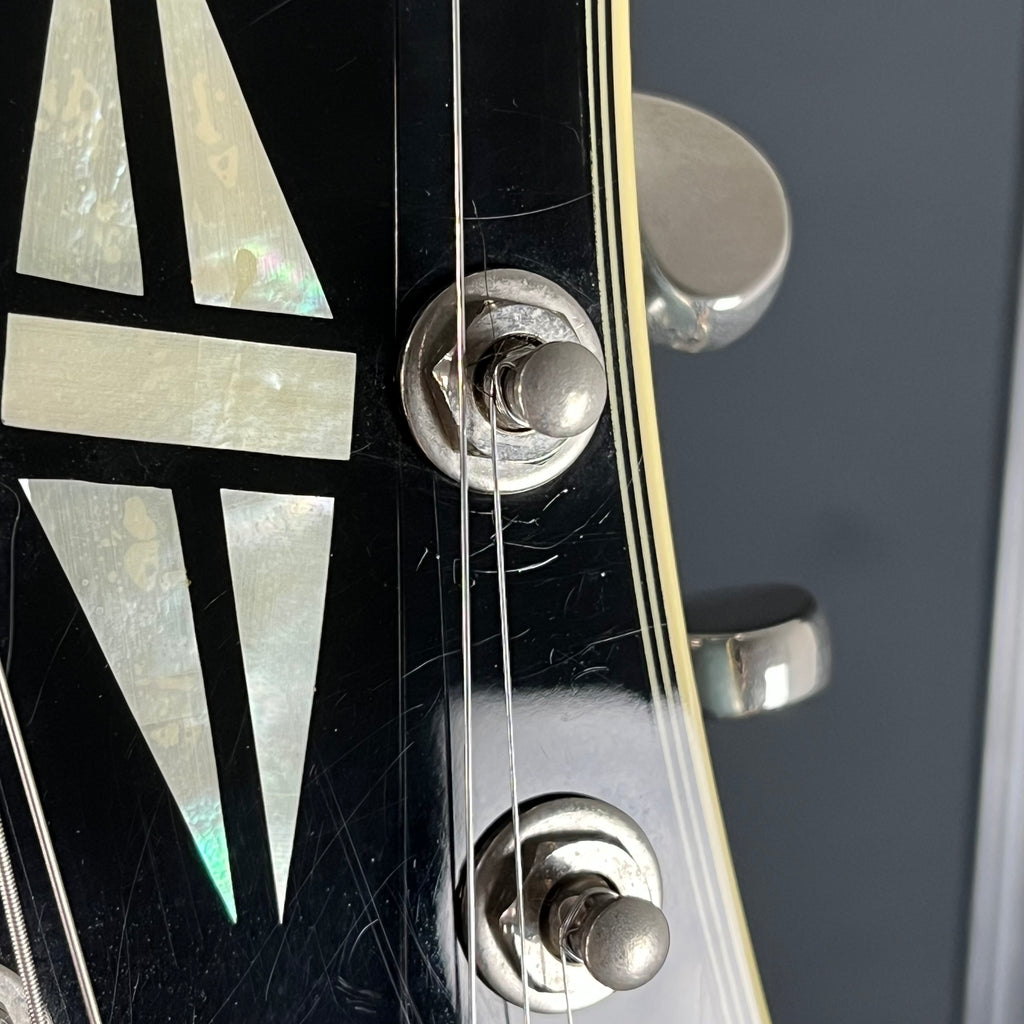 Epiphone Dot ES-355 TE