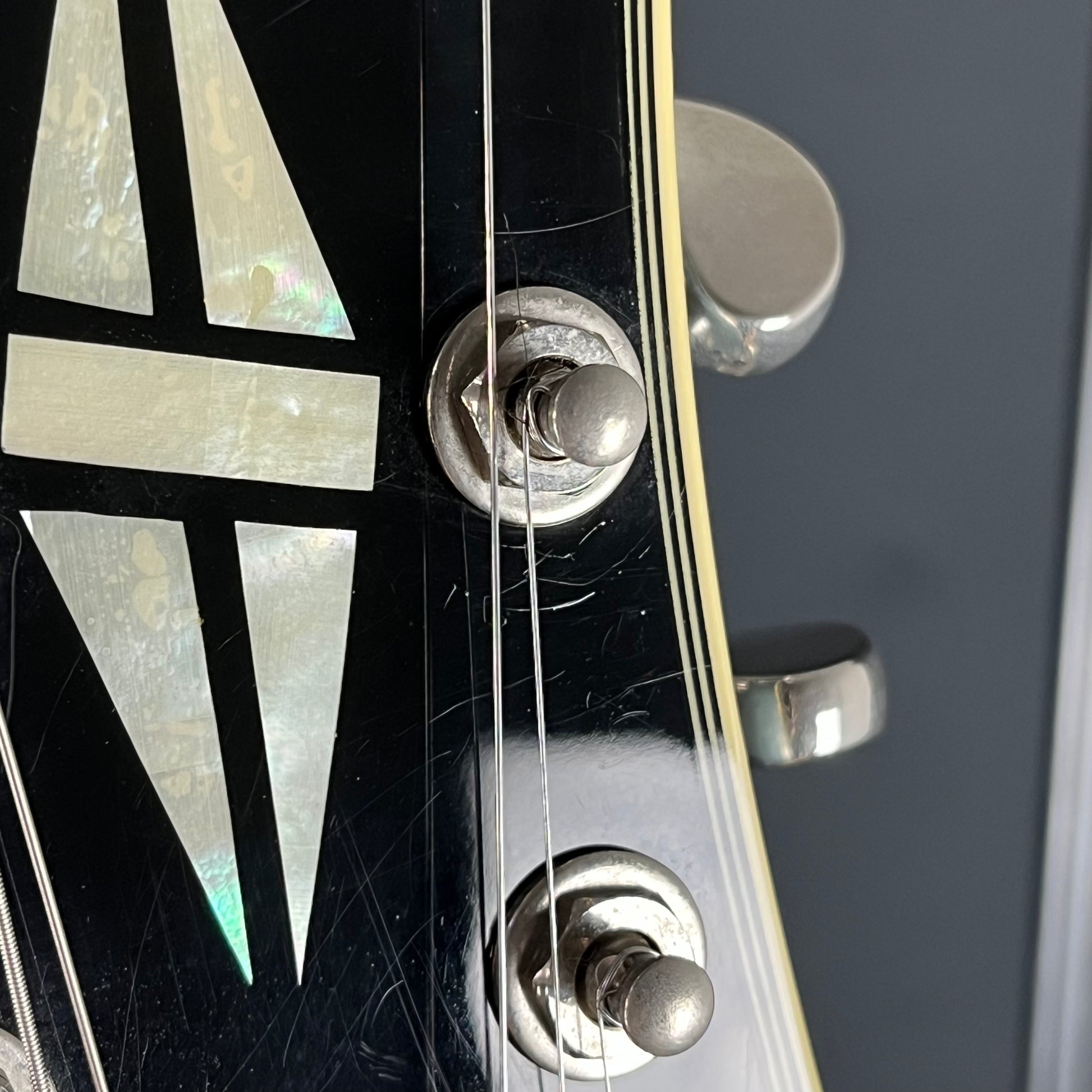 Epiphone Dot ES-355 TE