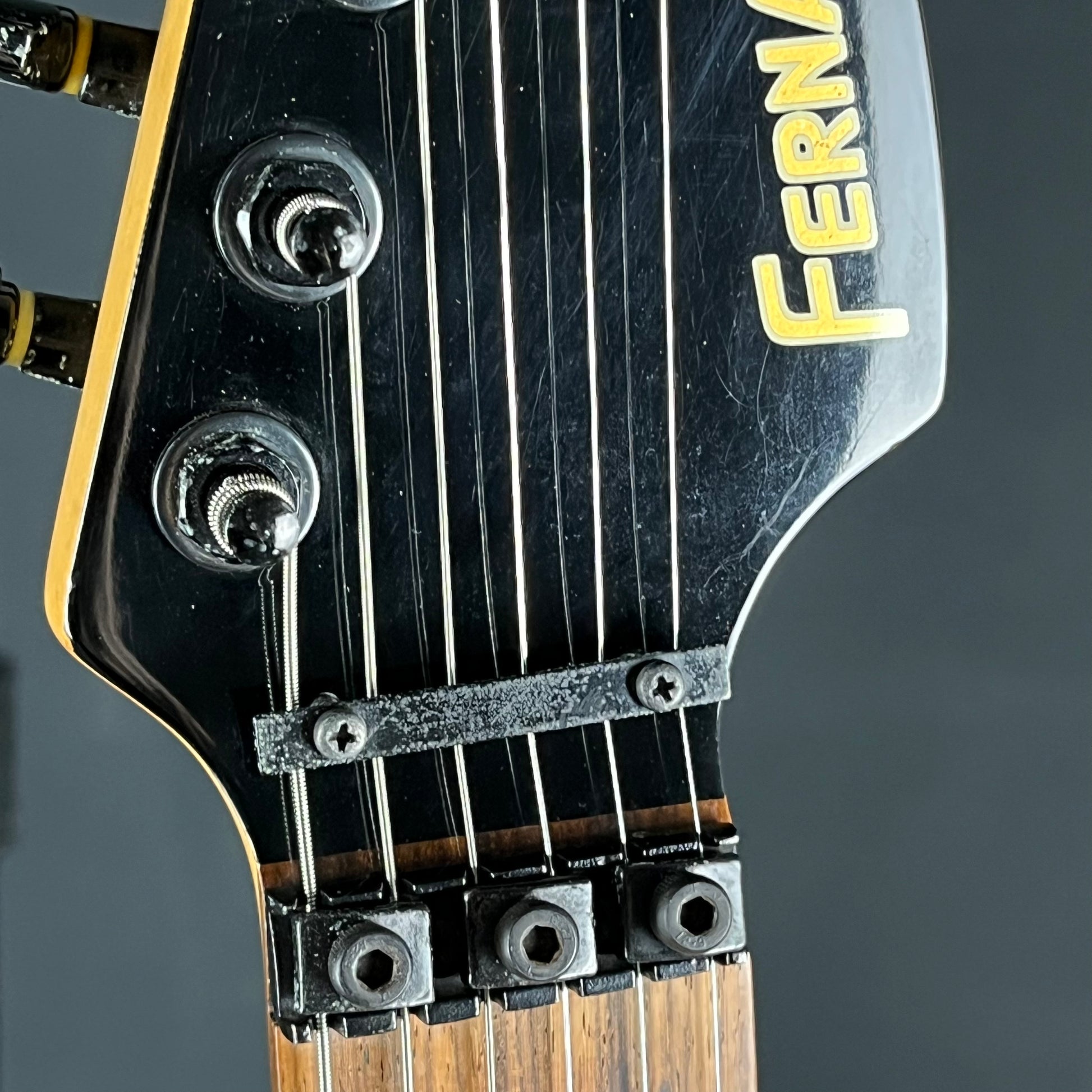 Fernandes FR-55