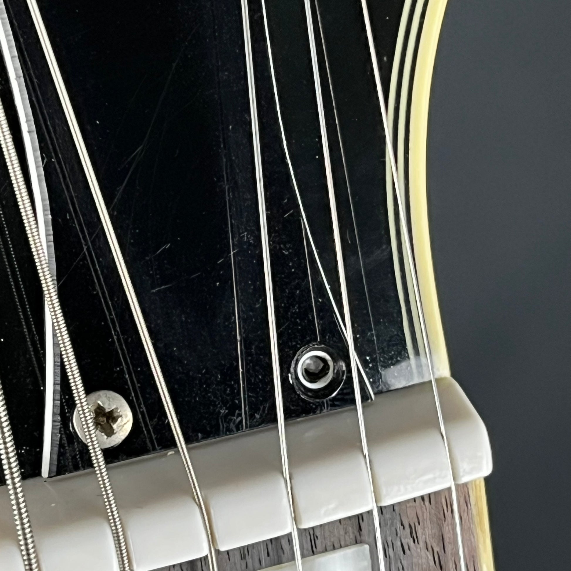 Epiphone Dot ES-355 TE