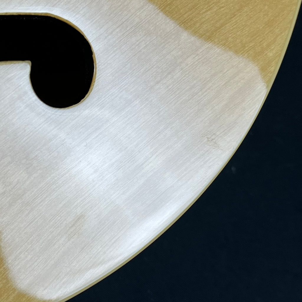 Epiphone Casino
