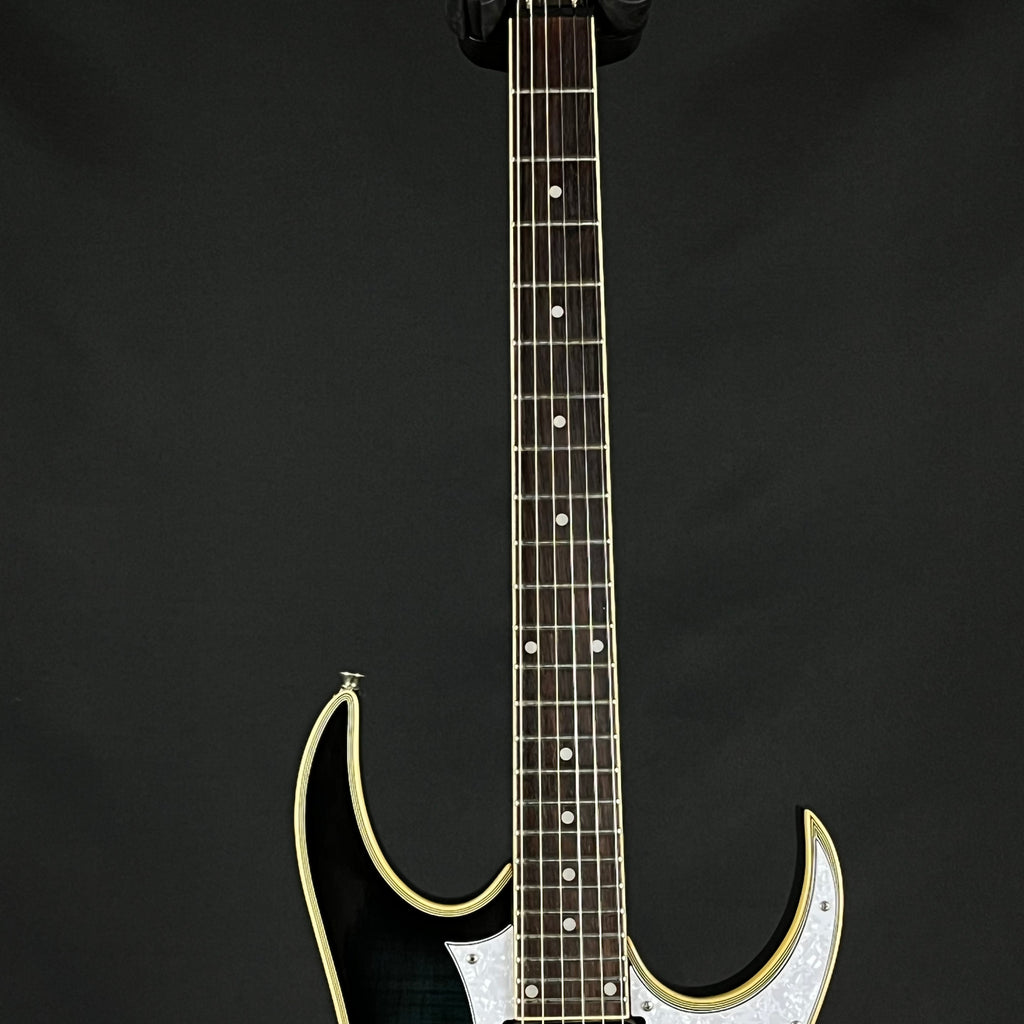 Ibanez RG Series MOD