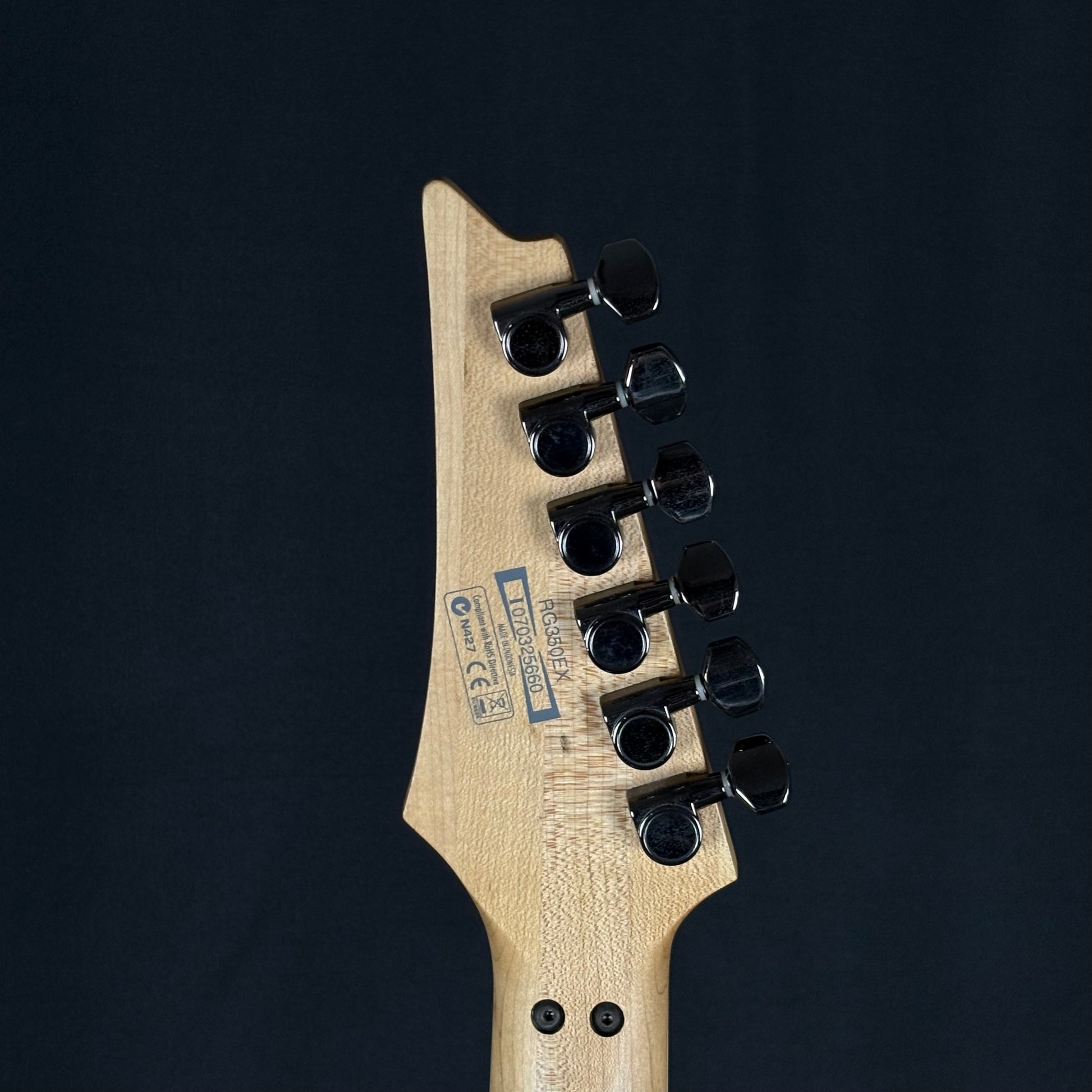 Ibanez RG350EX
