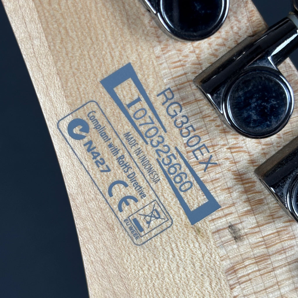 Ibanez RG350EX