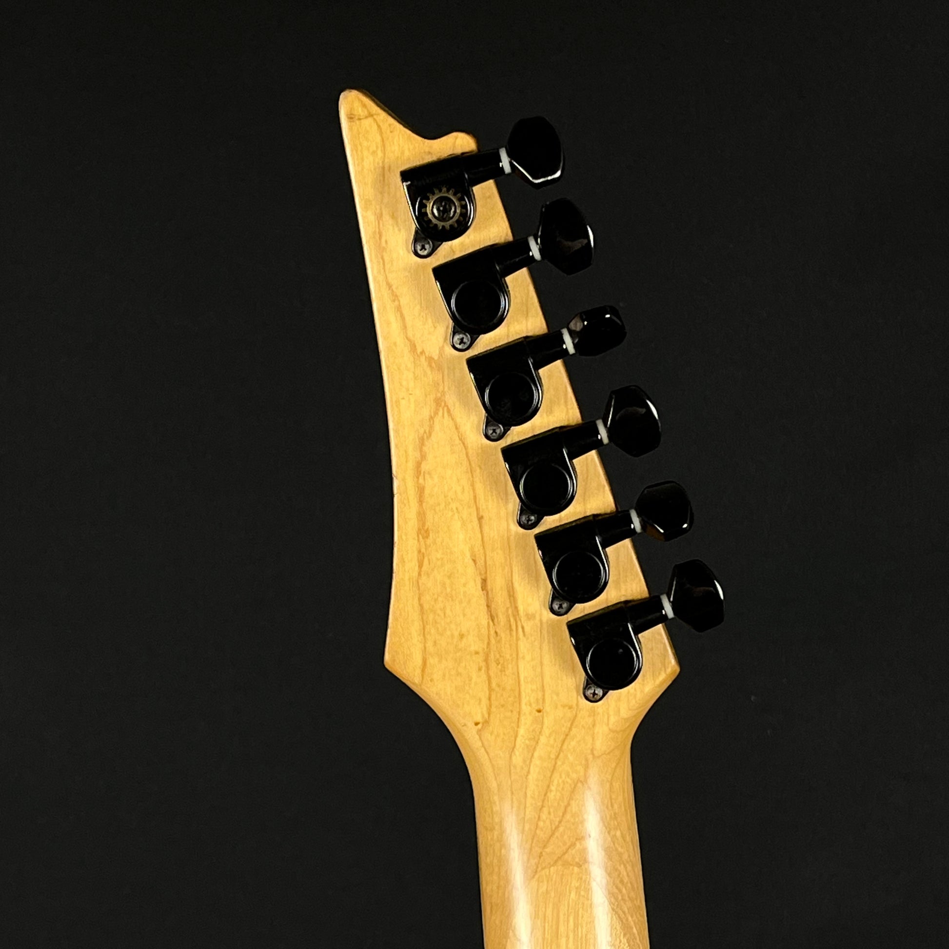 Ibanez RG Series MOD
