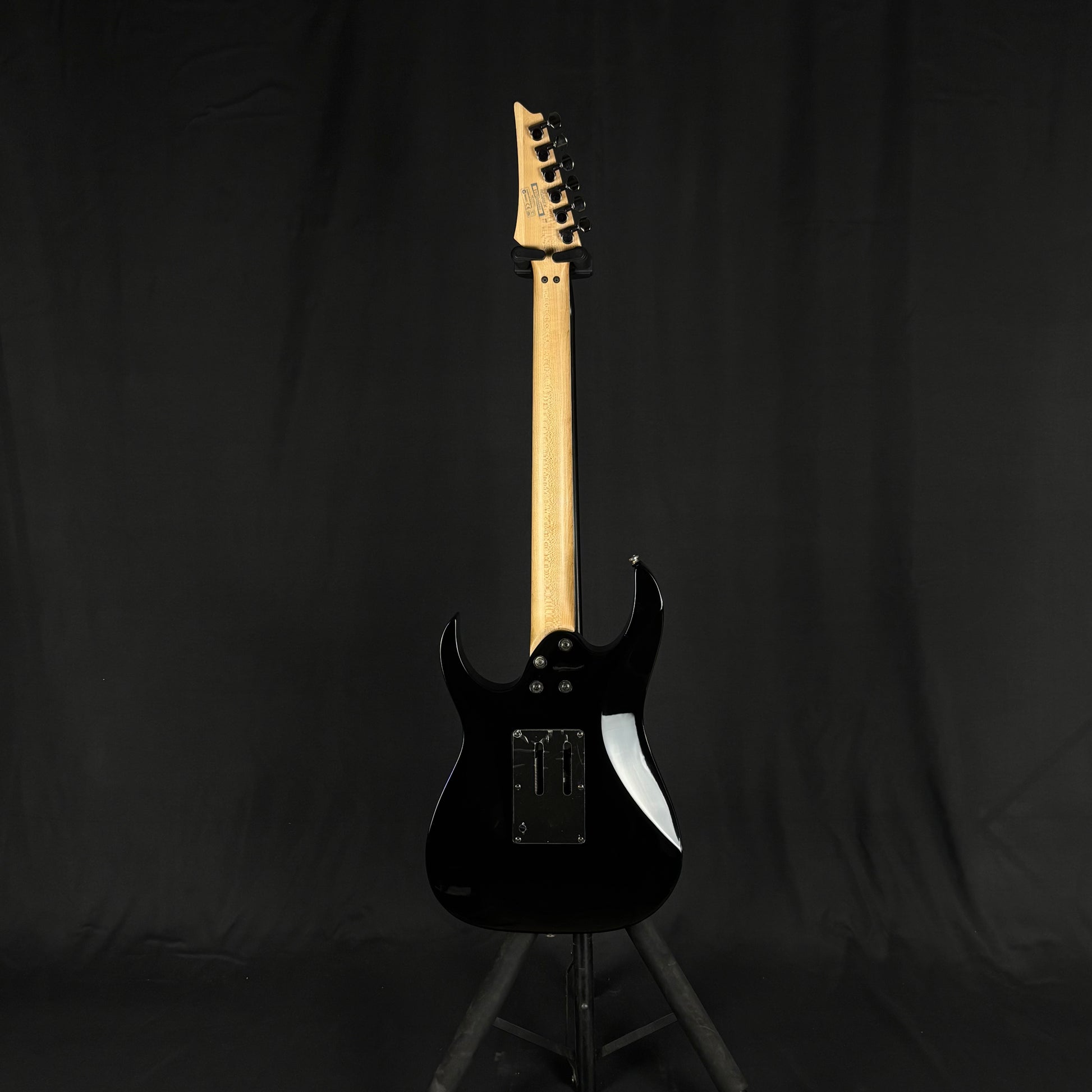 Ibanez RG350EX