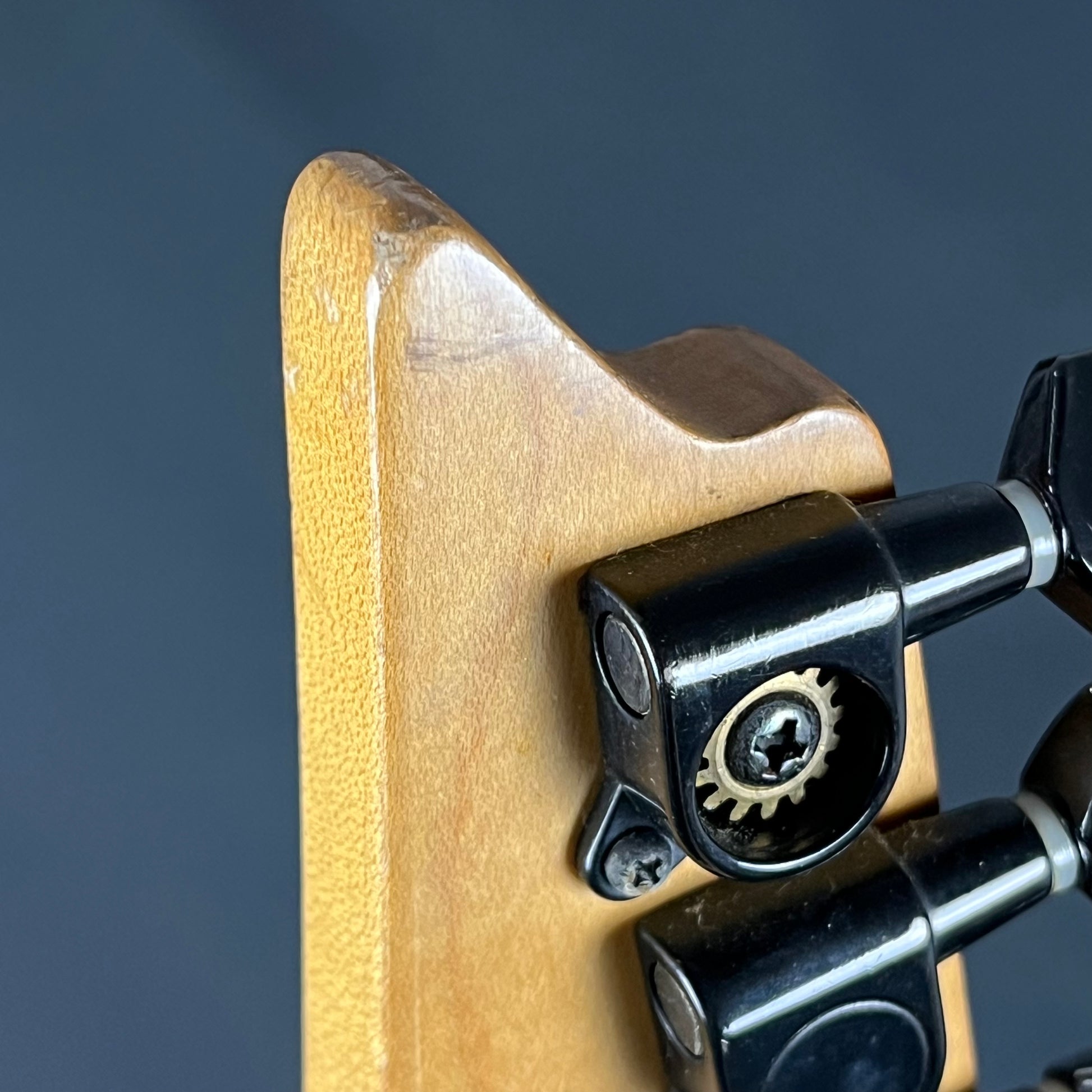 Ibanez RG Series MOD