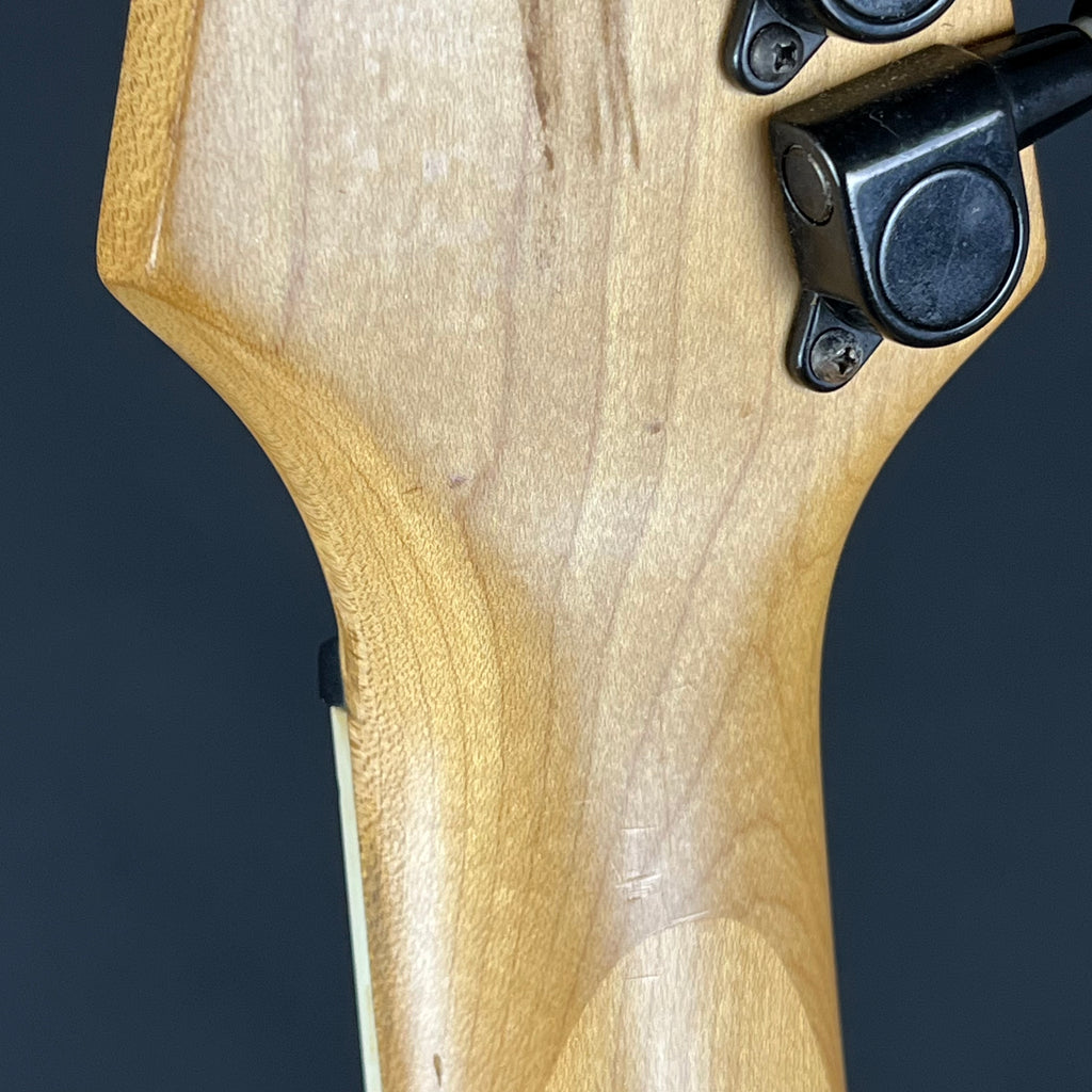 Ibanez RG Series MOD