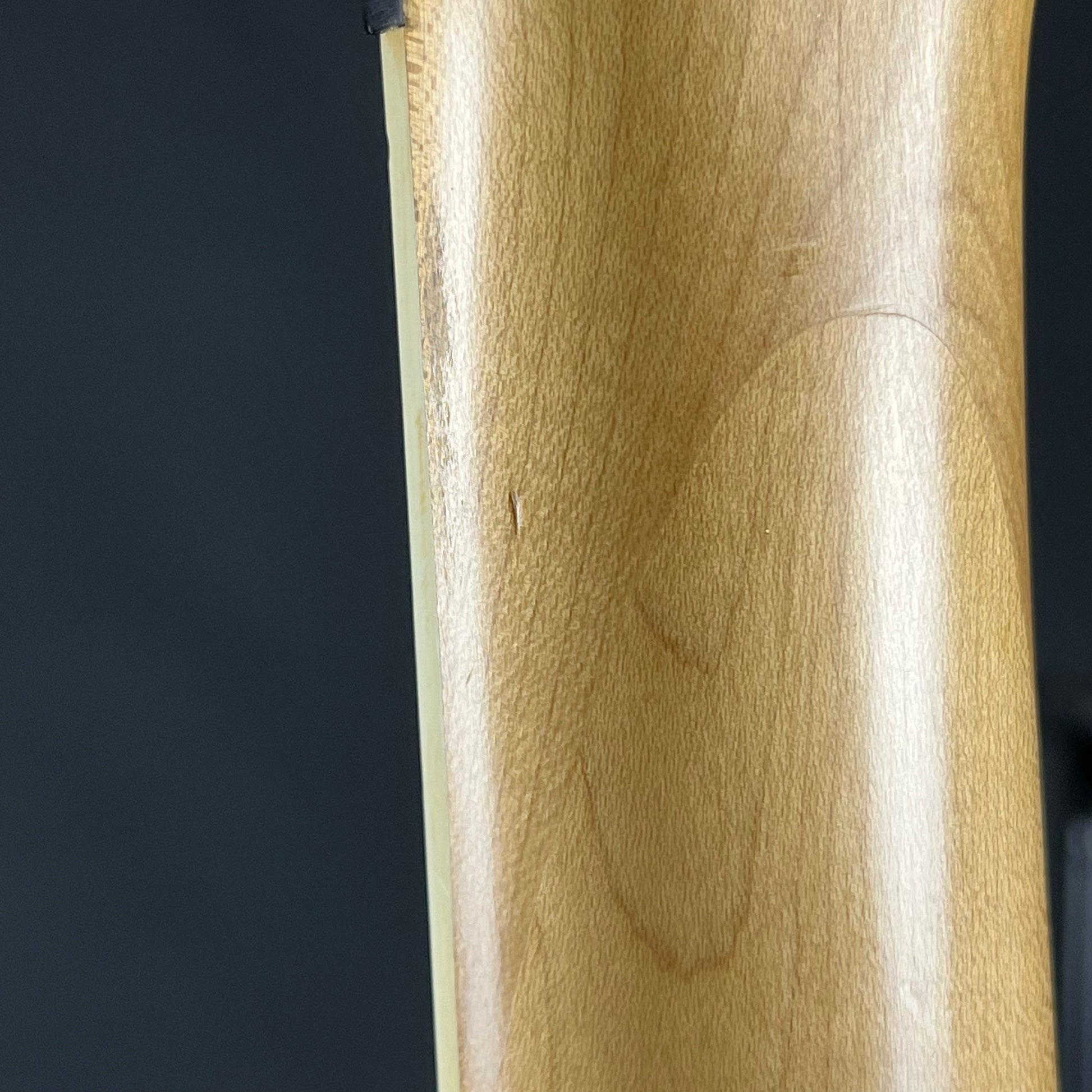 Ibanez RG Series MOD