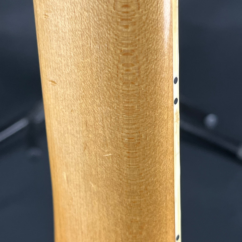 Ibanez RG Series MOD