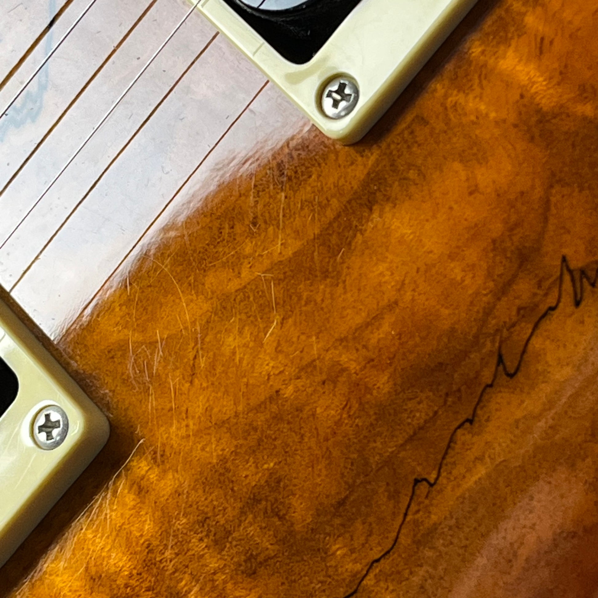 PRS SE Custom 24 Spalted Maple 2018