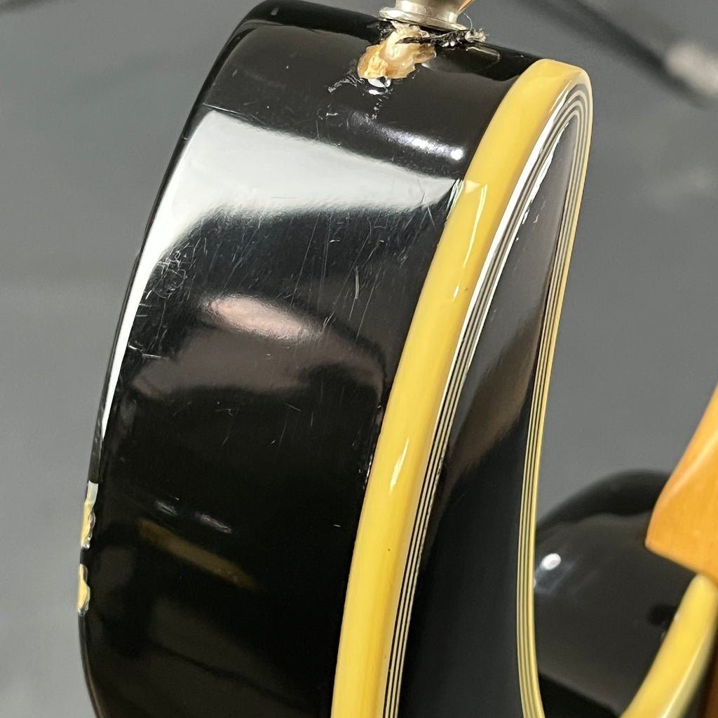 Ibanez RG Series MOD