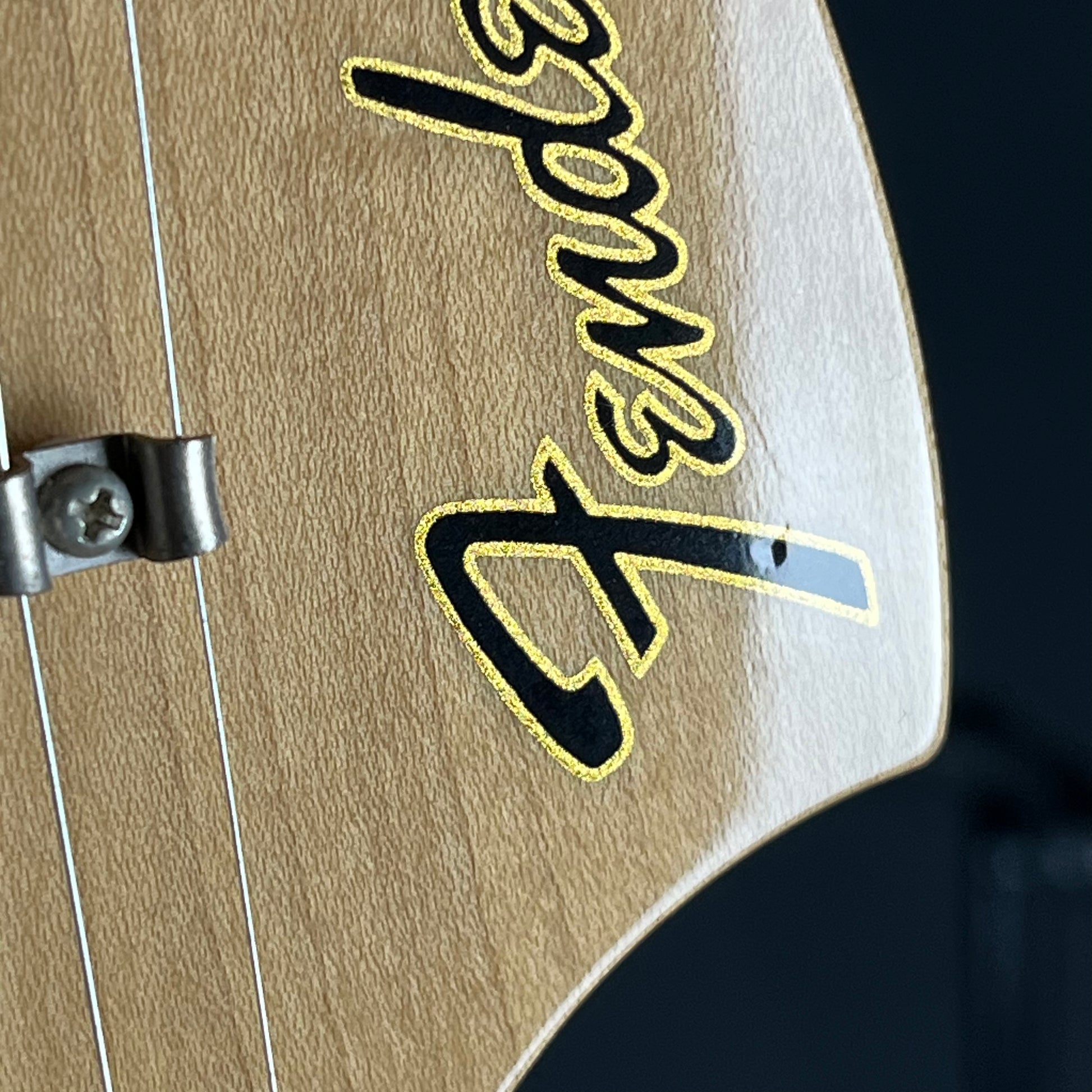 Fender Japan Classic 70 Stratocaster