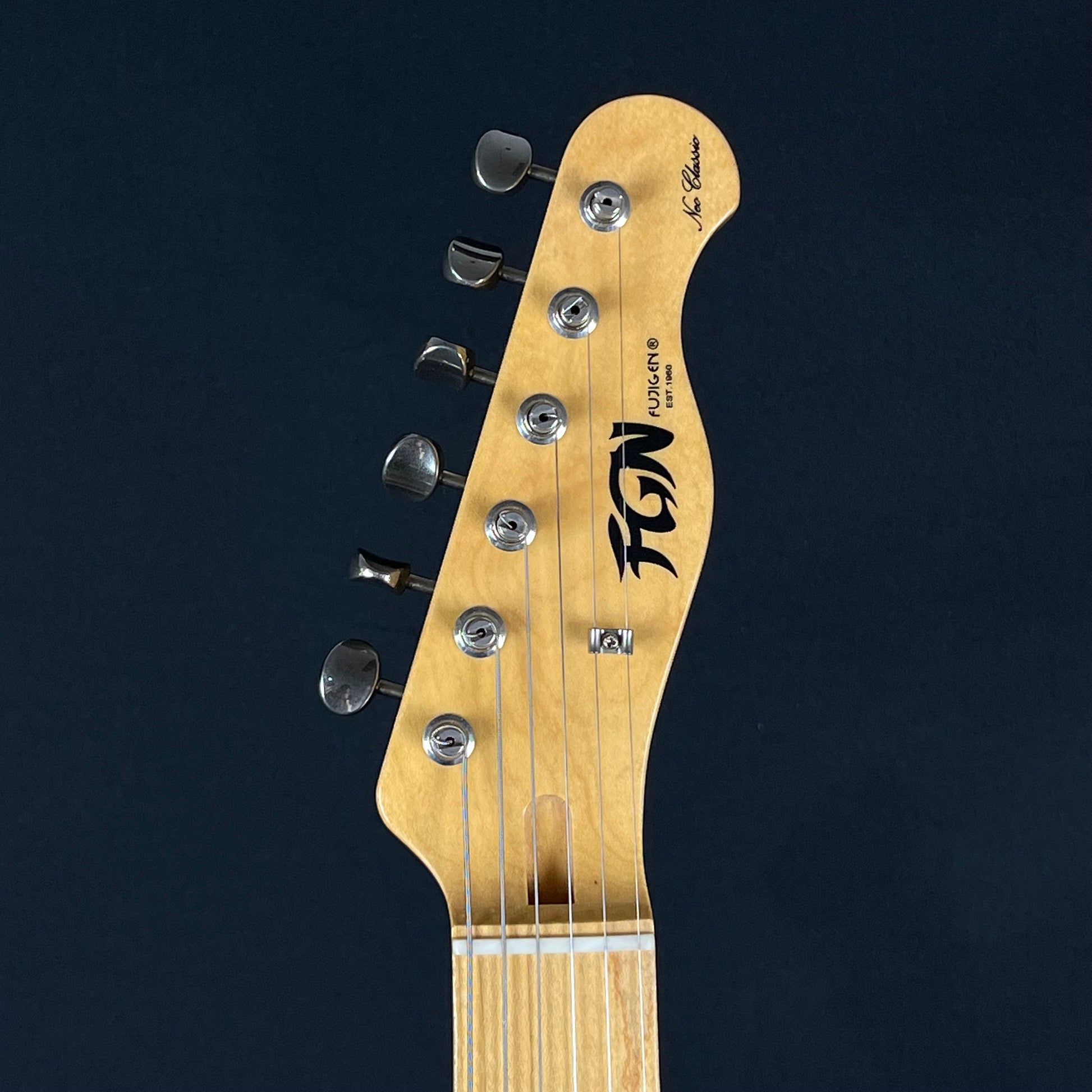 FGN Japan Telecaster Thinline