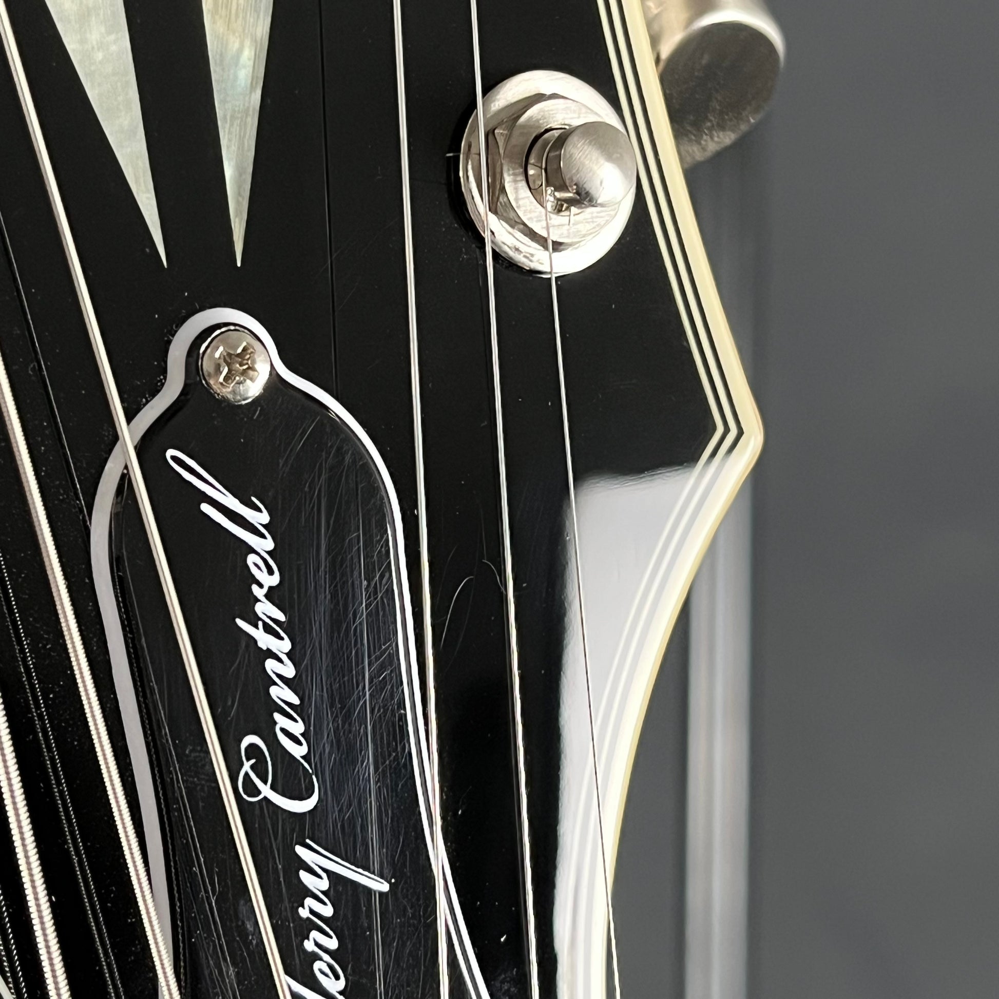 Epiphone Jerry Cantrell Les Paul Custom Prophecy 2024