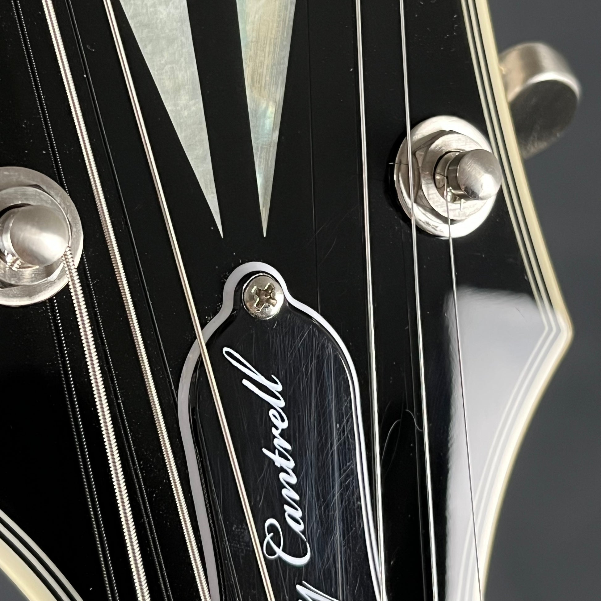 Epiphone Jerry Cantrell Les Paul Custom Prophecy 2024