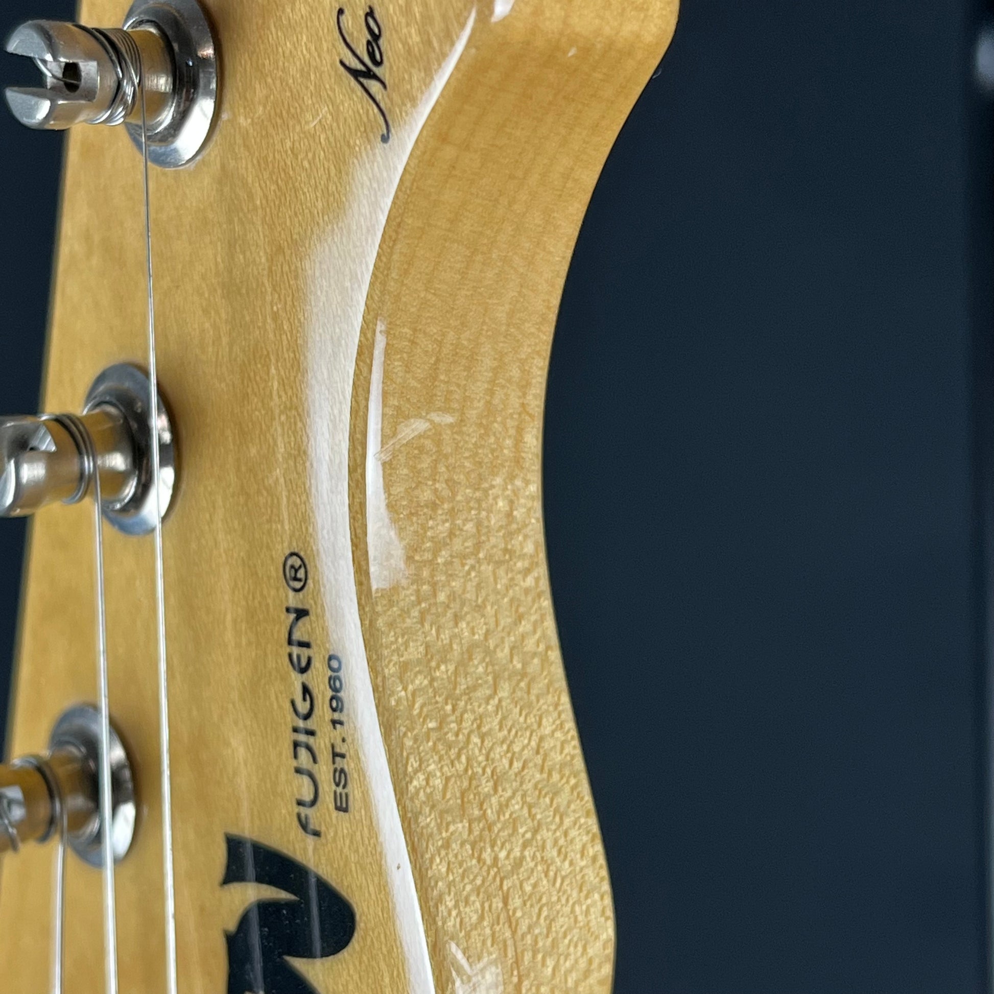 FGN Japan Telecaster Thinline