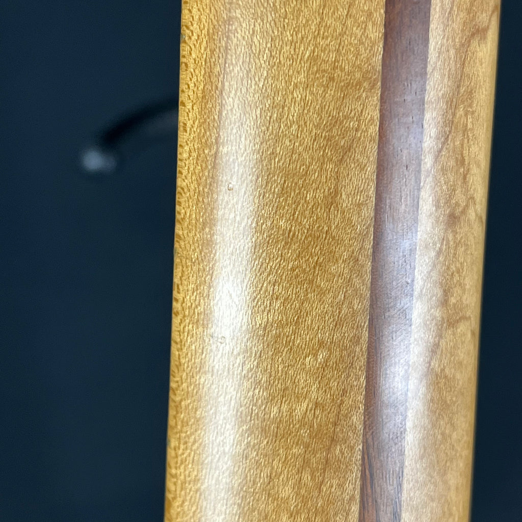 Fender Mexico Telecaster