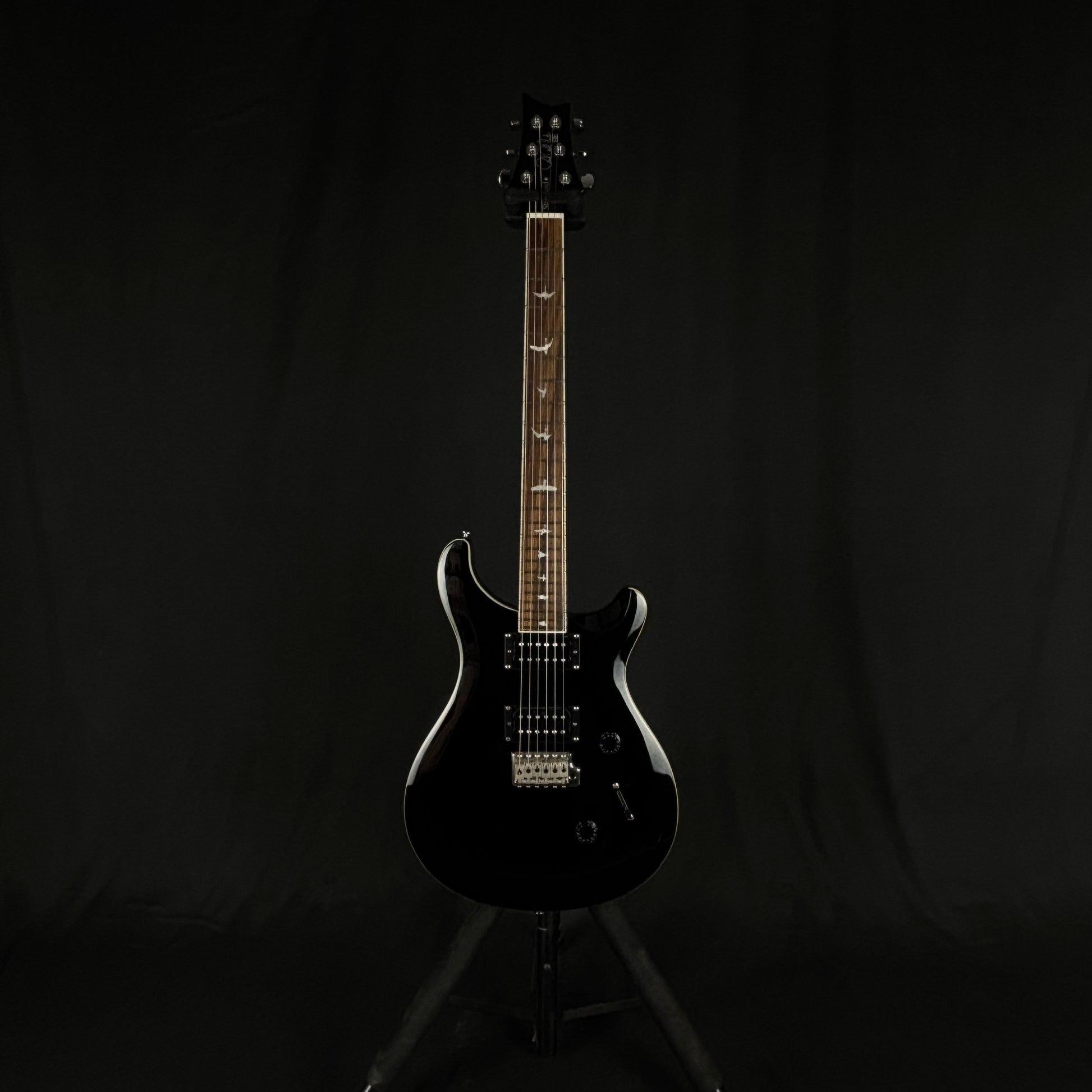 PRS SE Standard 24 2020