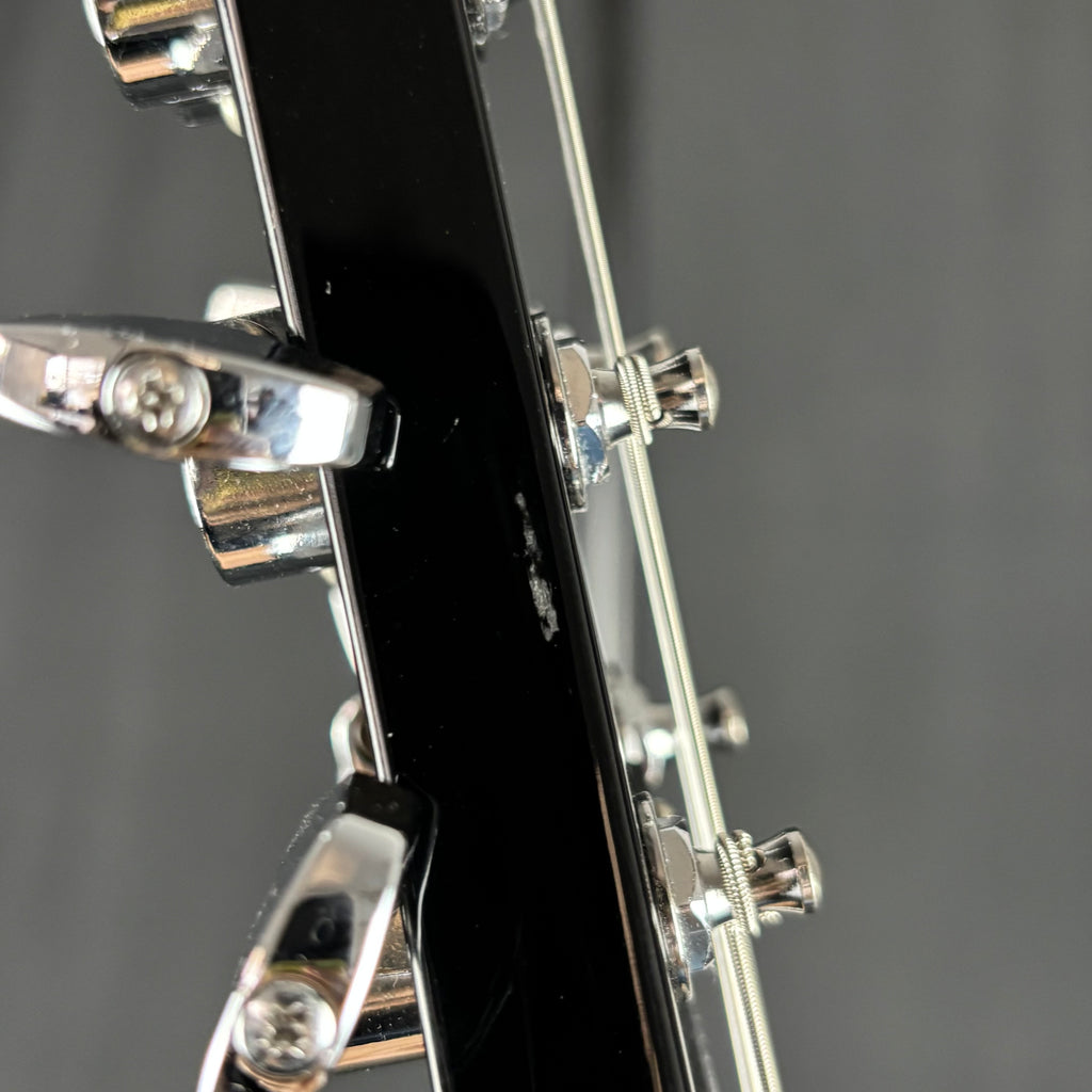 PRS SE Standard 24 2020