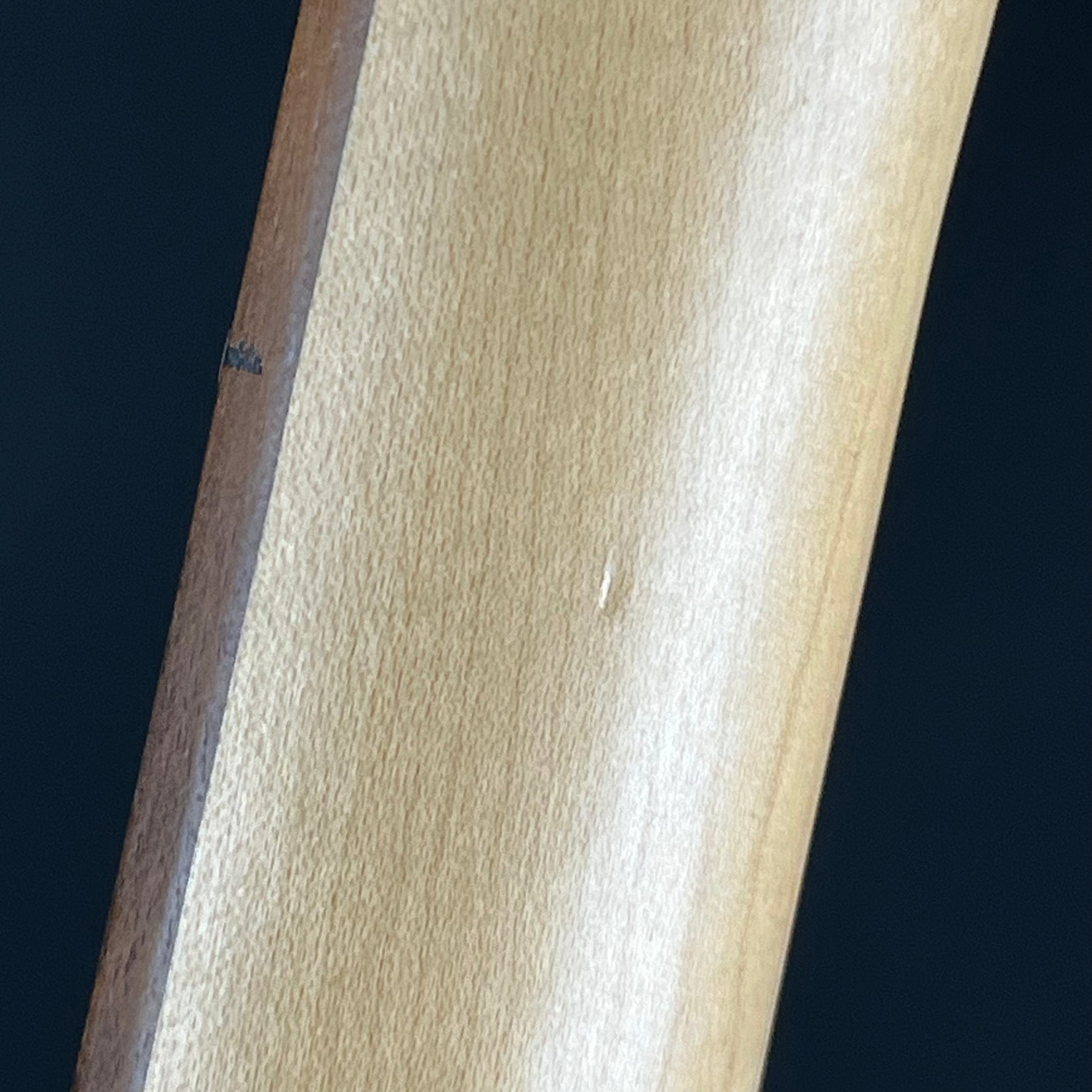 Bacchus WJB-360R Bass