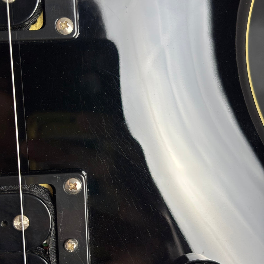 PRS SE Standard 24 2020
