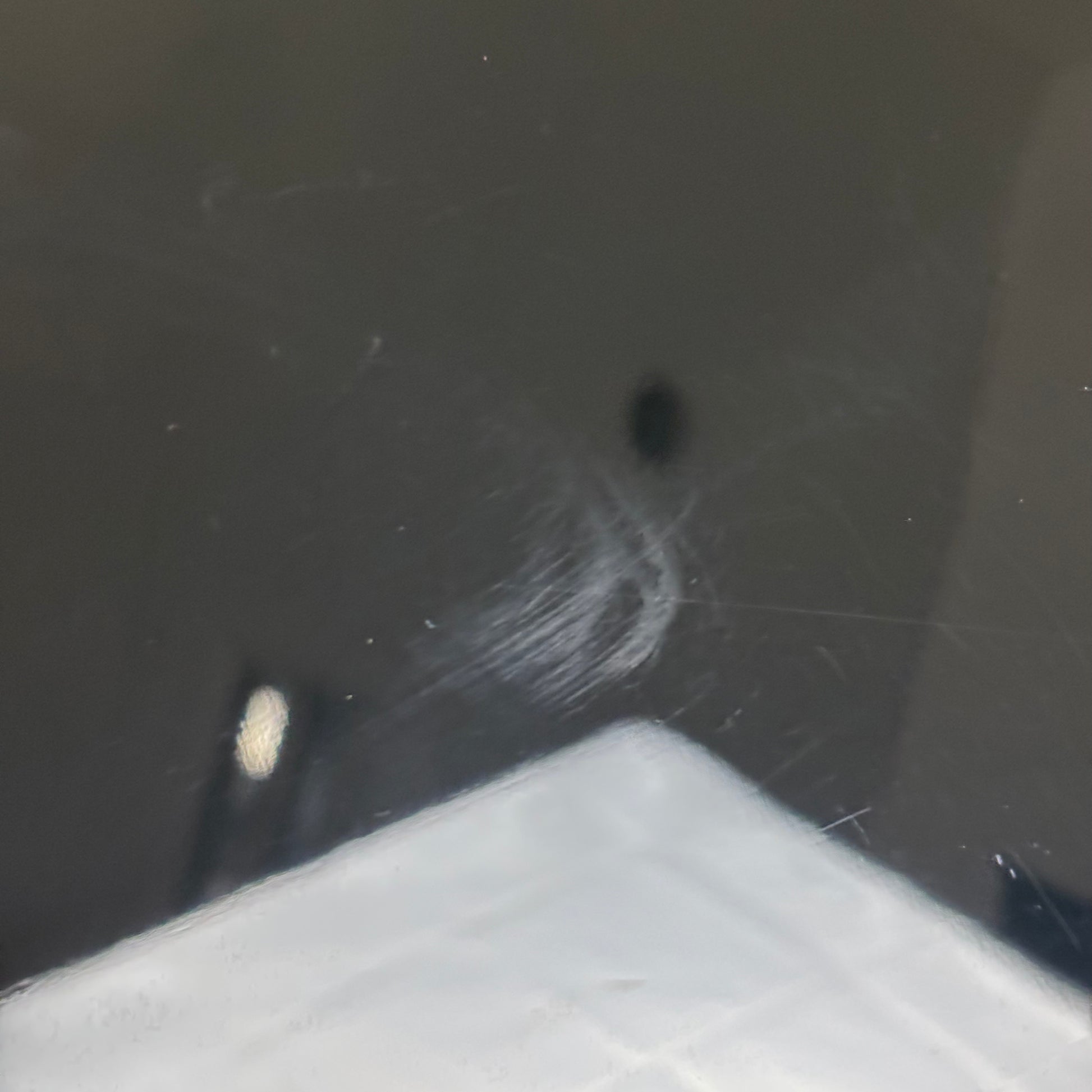 Epiphone Les Paul Junior