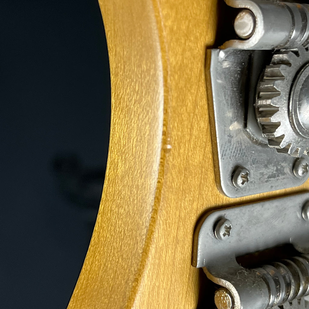 Bacchus Woodline WL-435 Bass