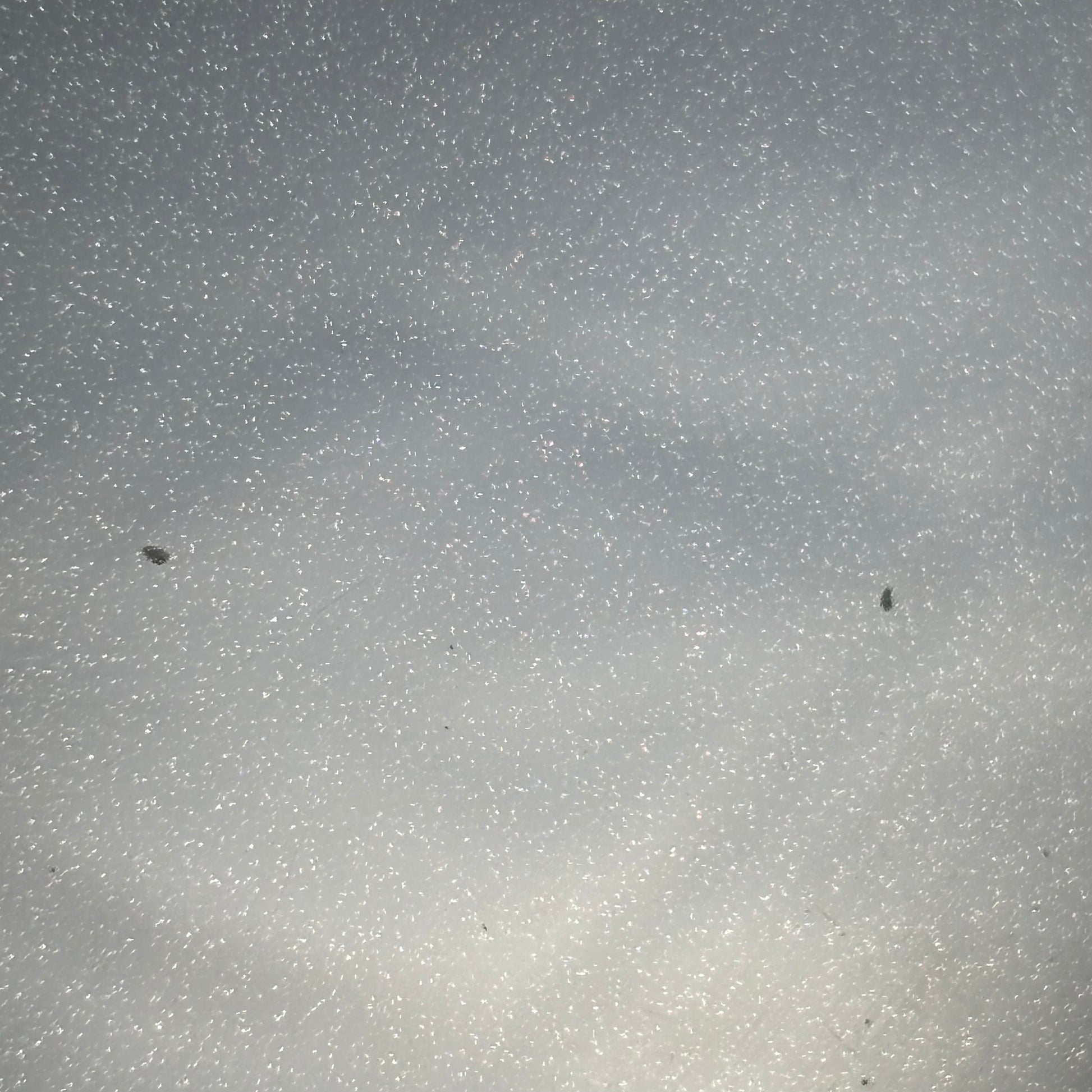 Squier Contemporary Telecaster HH