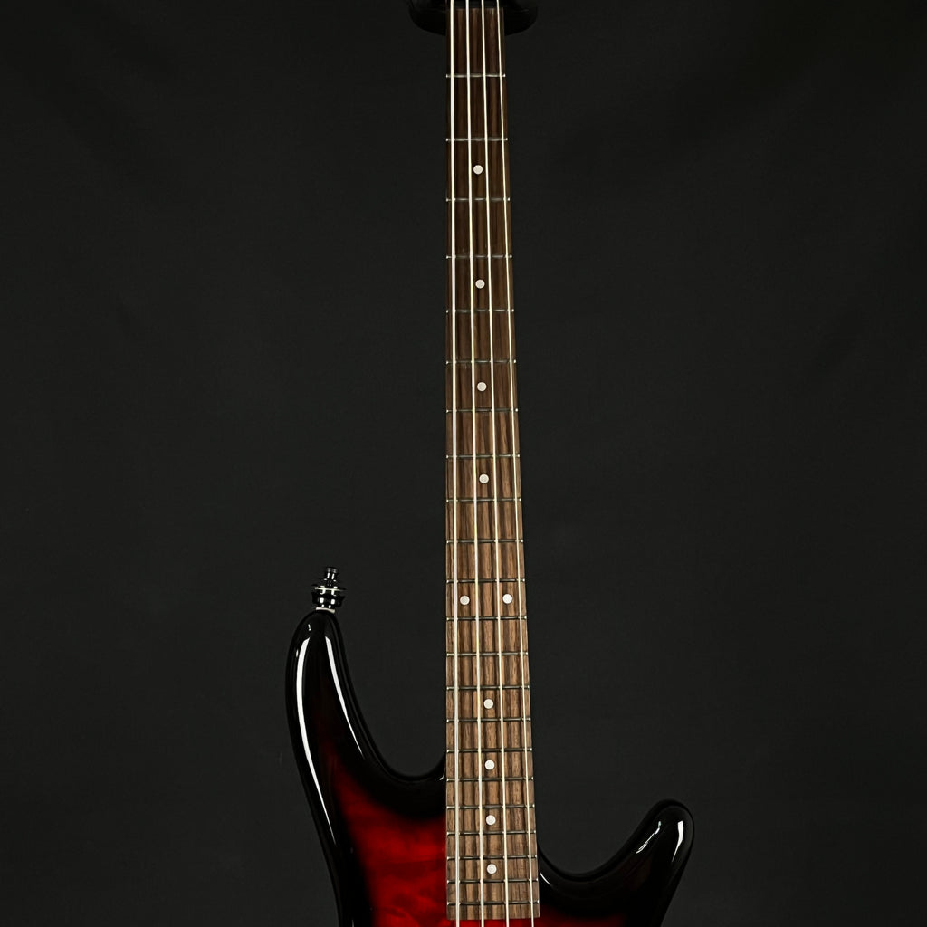 Ibanez Gio Soundgear Bass ** Modified **