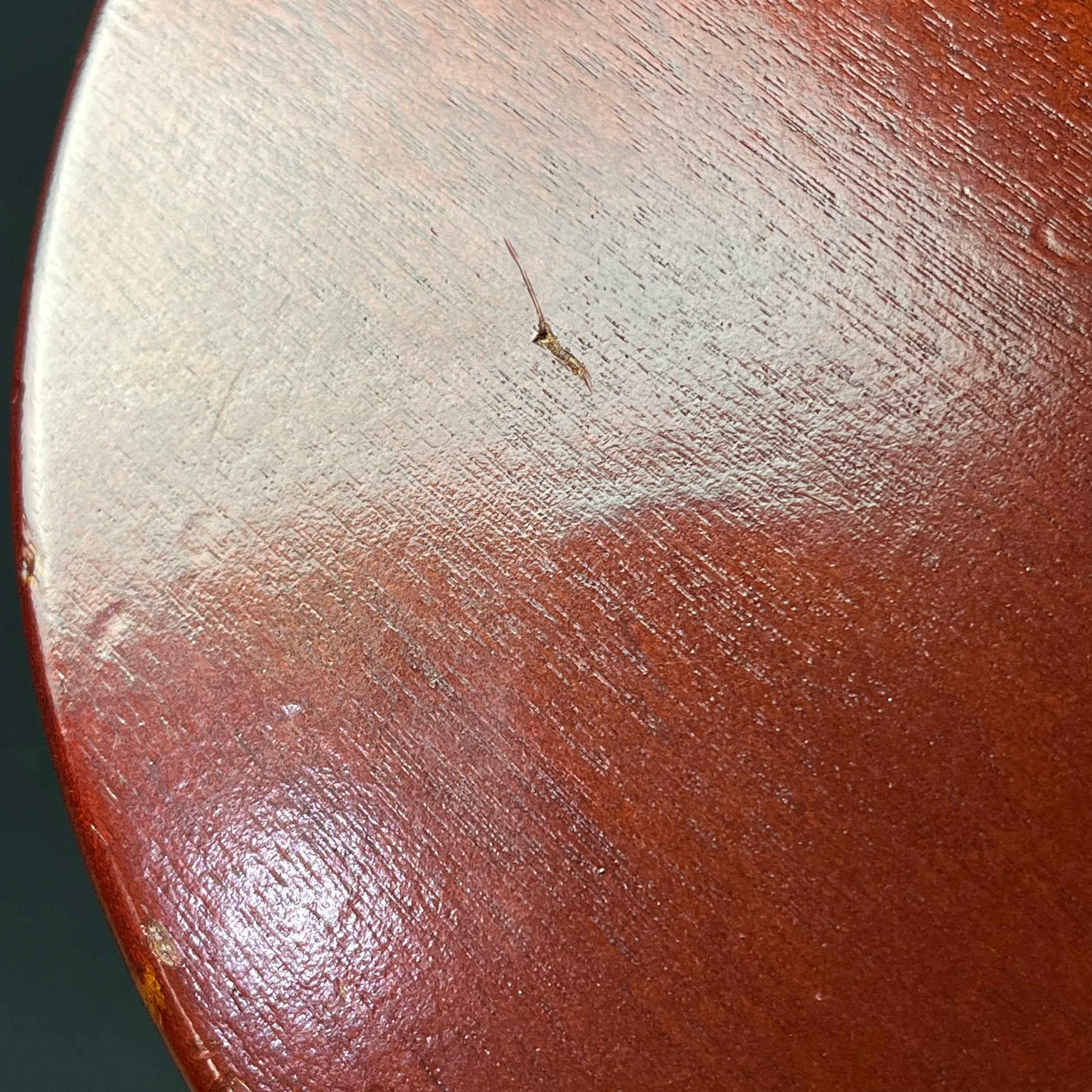 EDWARDS E-LP-135ALS/RE