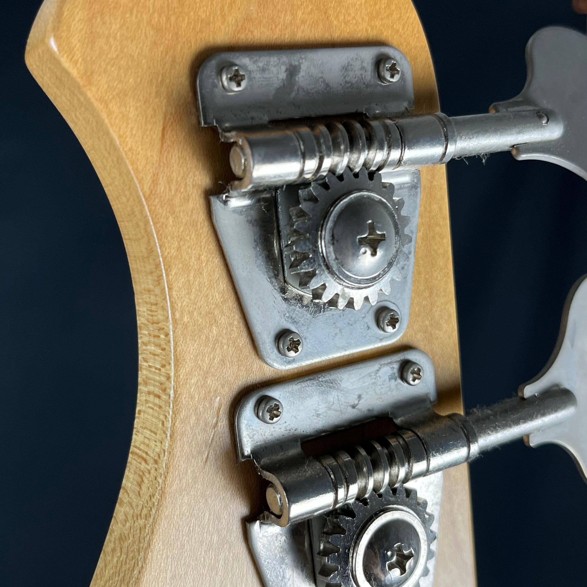 Bacchus WL-434 Bass