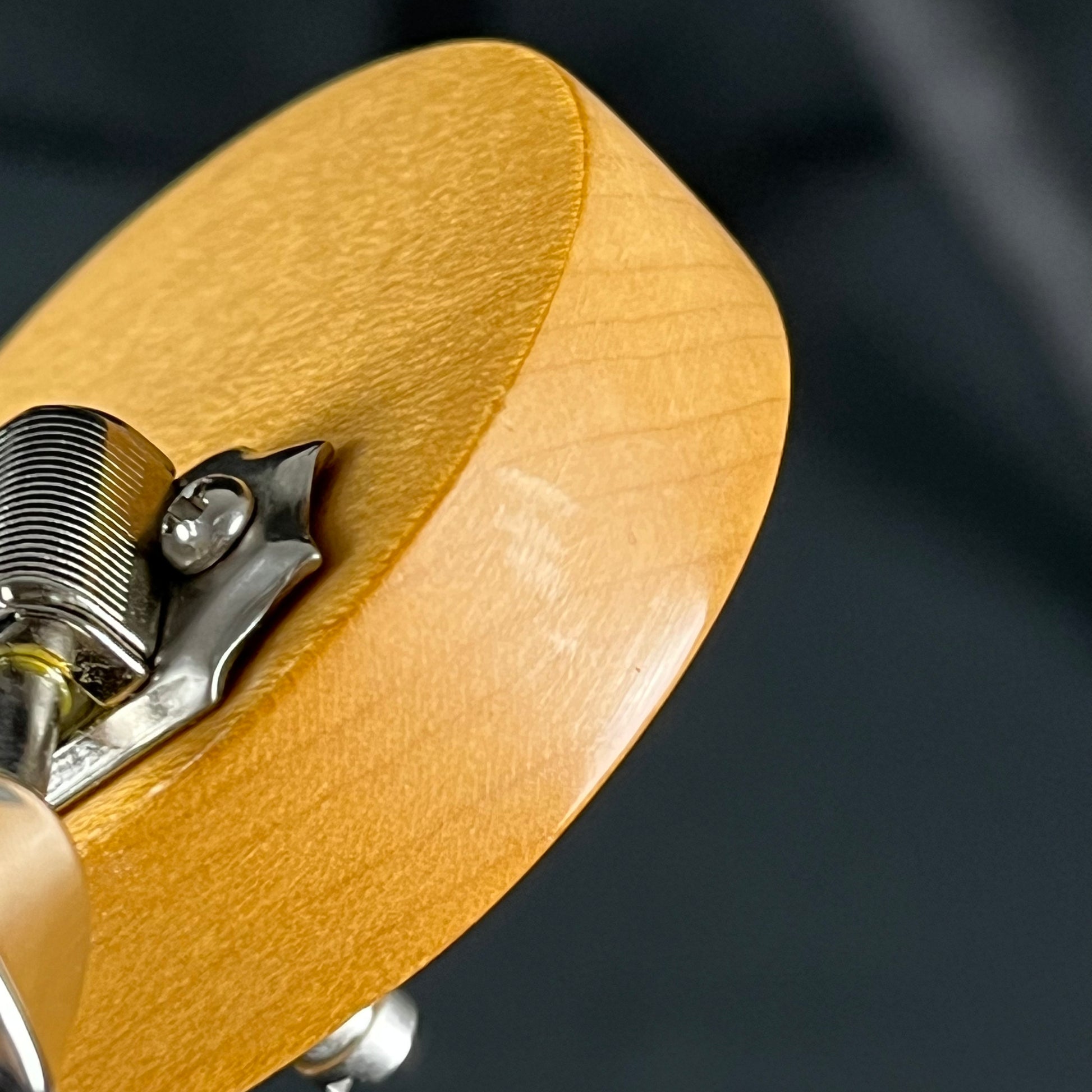 Fender Player II Stratocaster RW 3TS