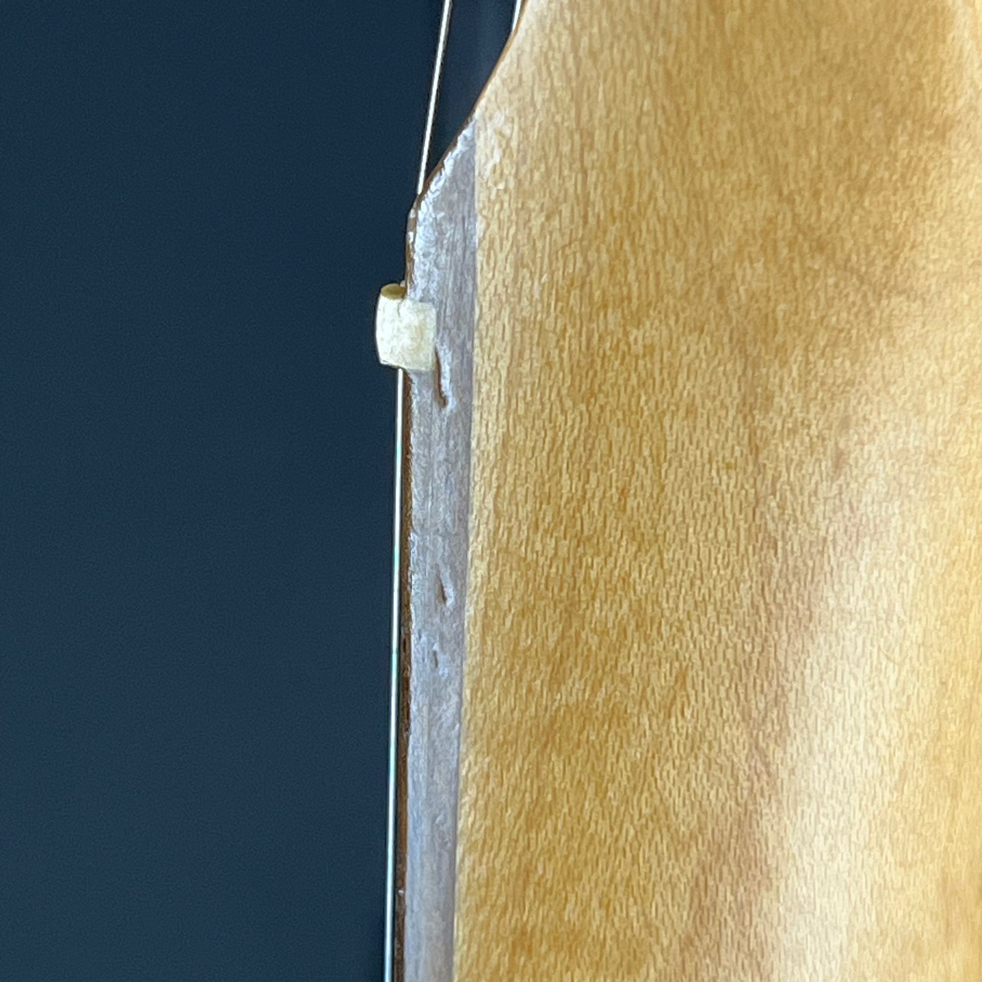 Fender Player II Stratocaster RW 3TS