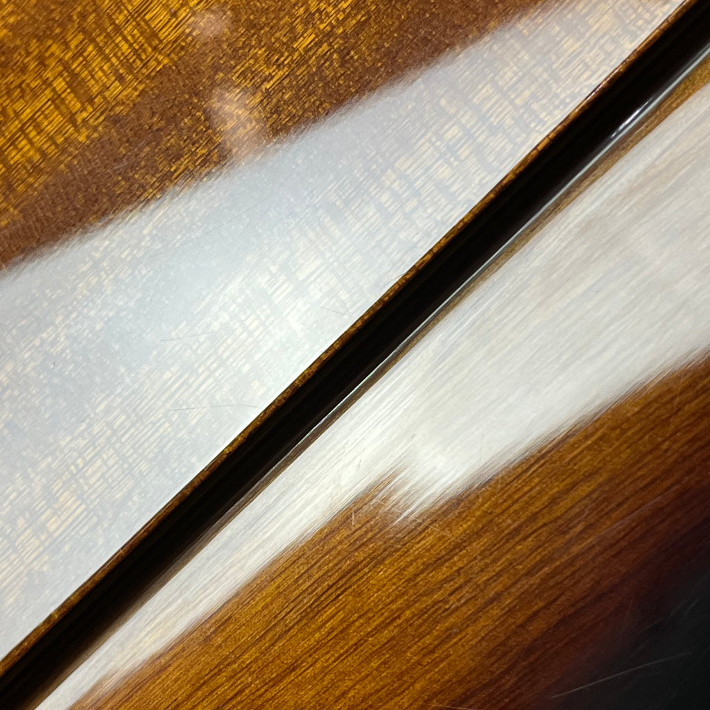Epiphone Korea Limited Firebird 2006