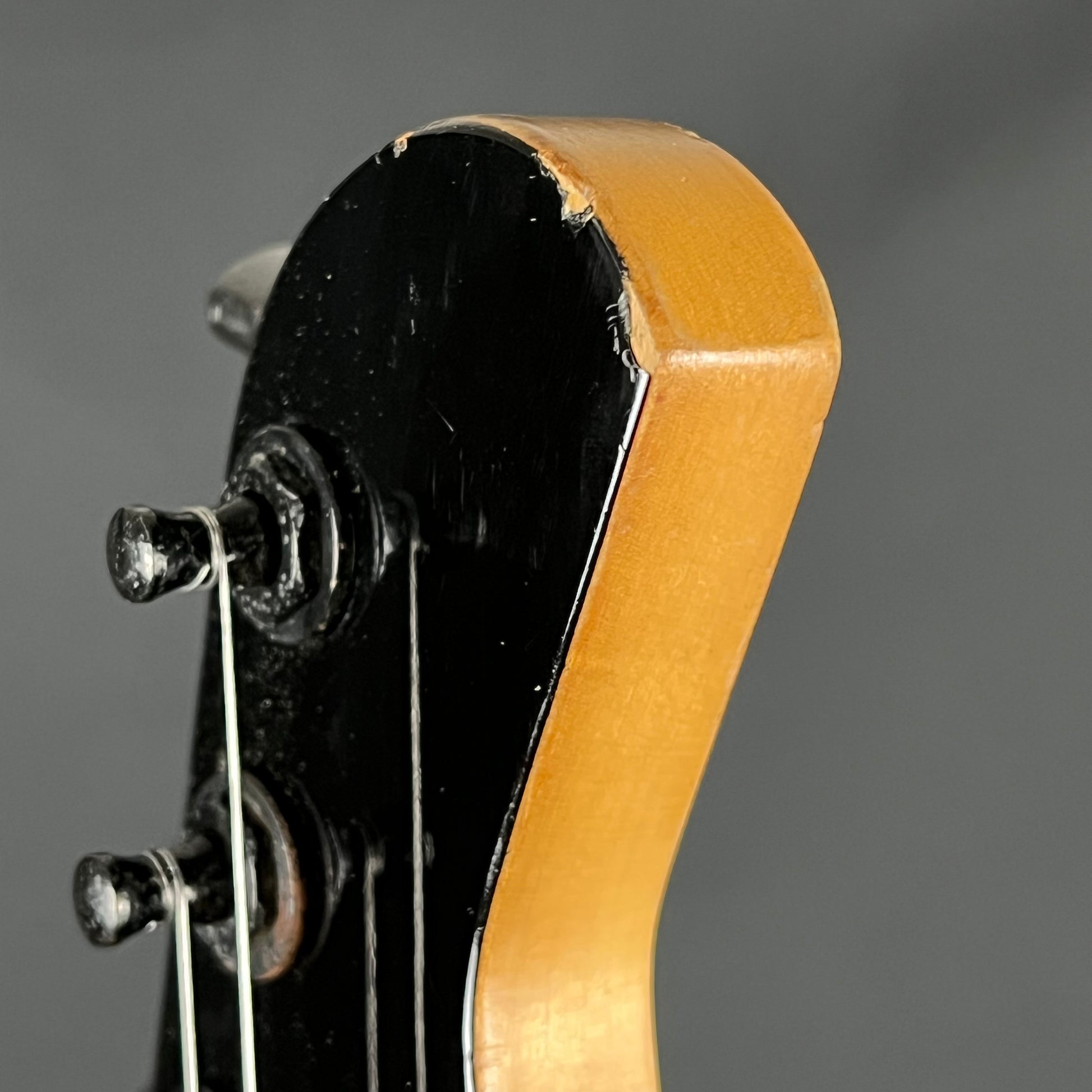 Fernandes FR-45