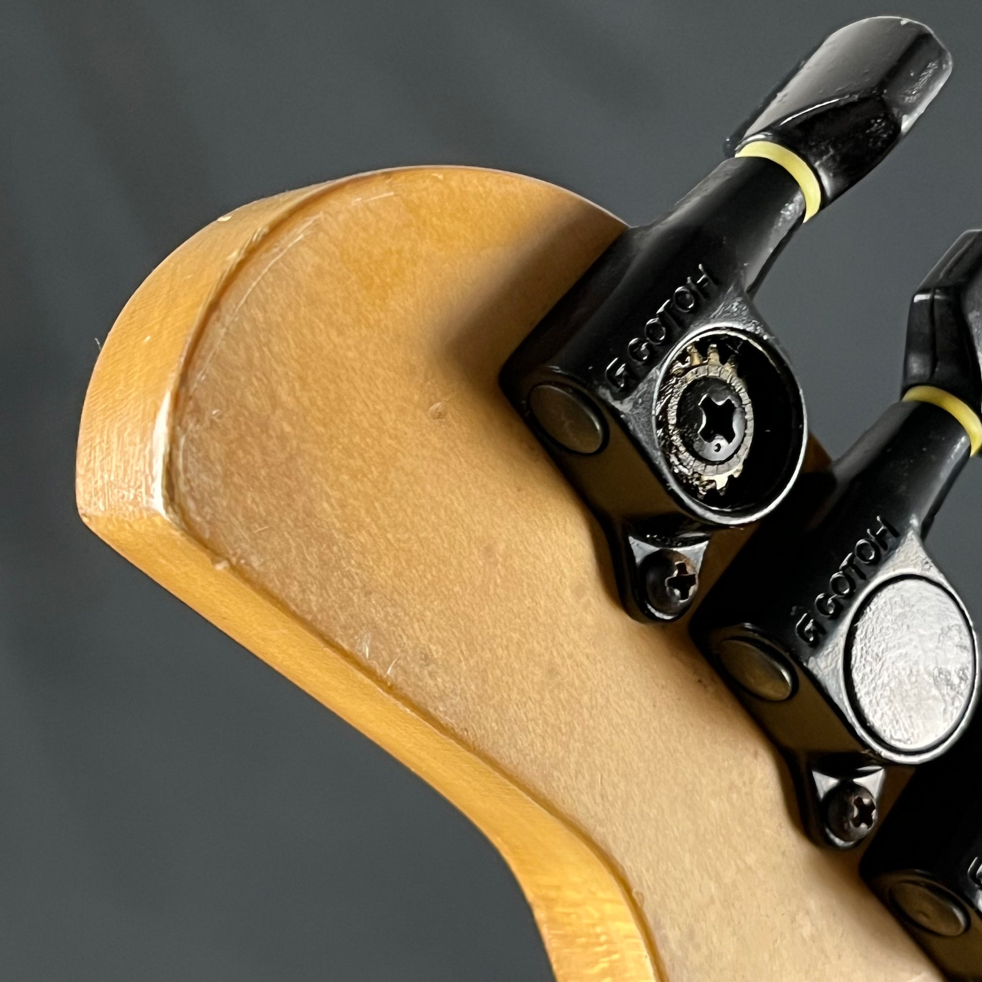 Fernandes FR-45