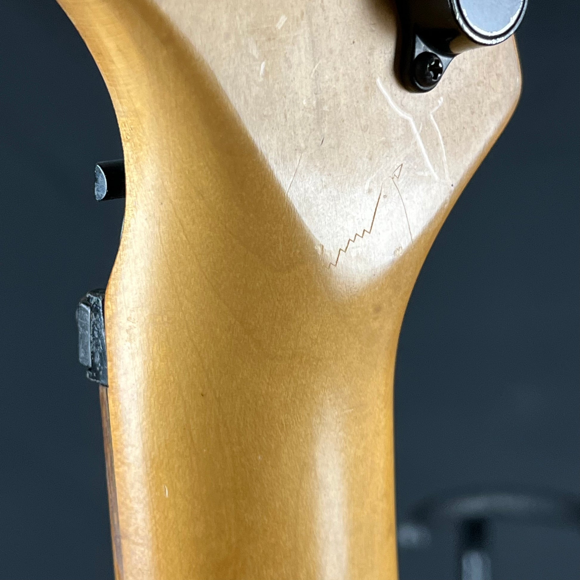Fernandes FR-45