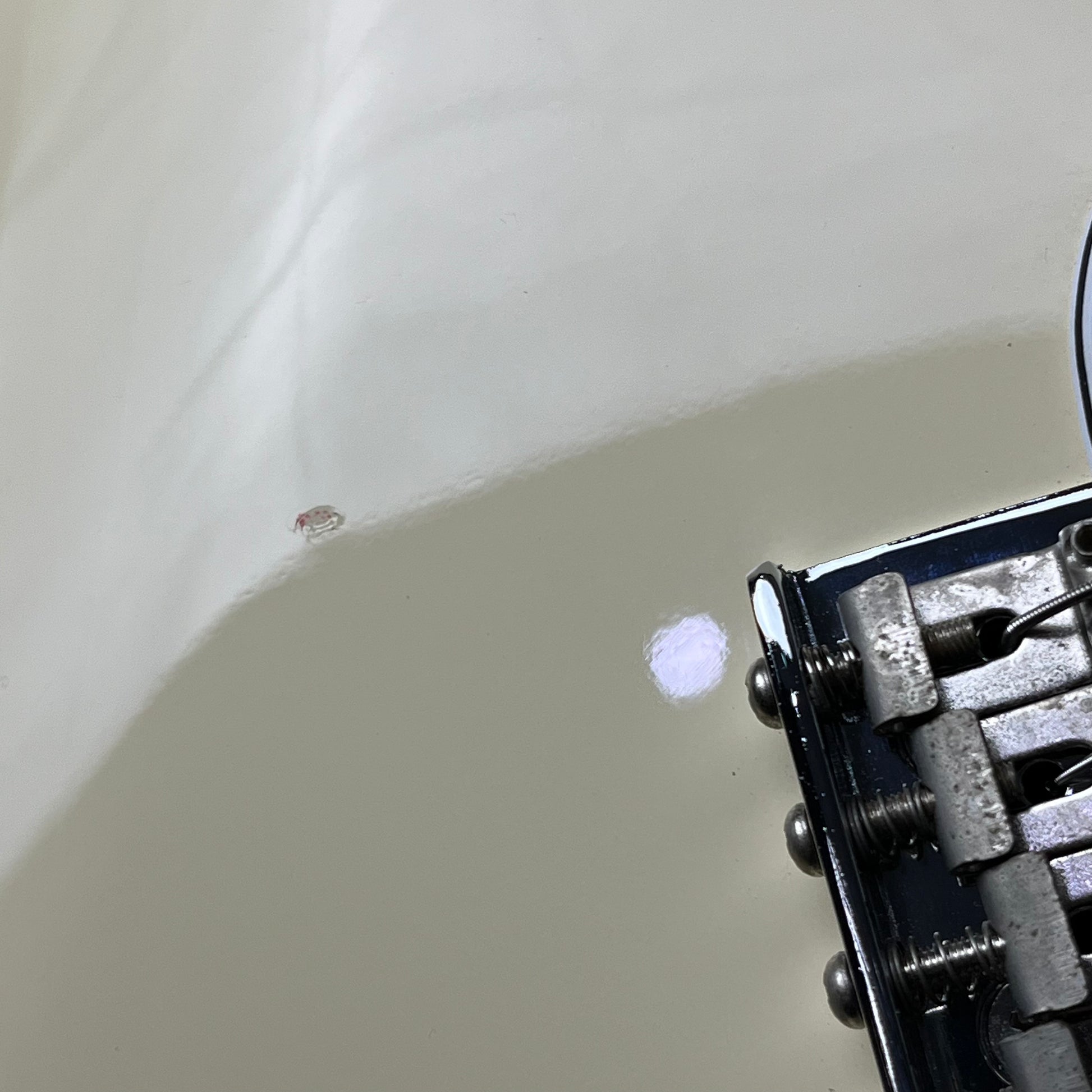 Fender Japan ST-STD Stratocaster 2013