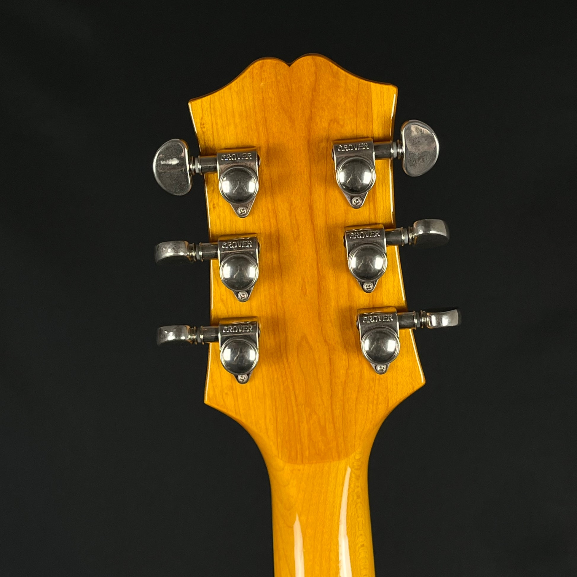 Epiphone WILDKAT With Bigsby