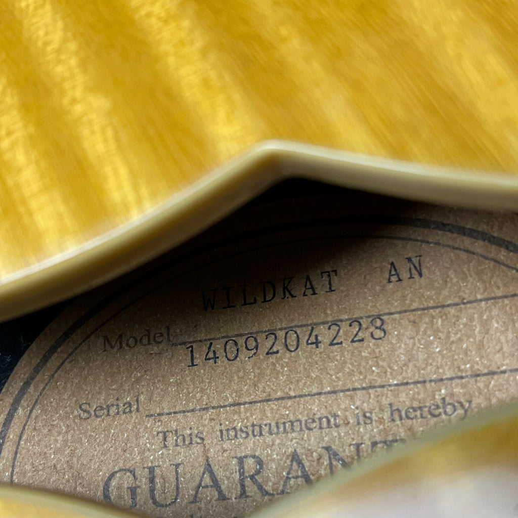 Epiphone WILDKAT With Bigsby