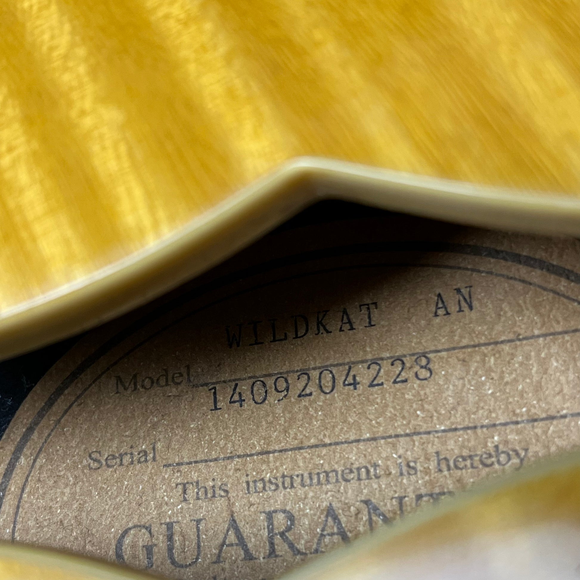 Epiphone WILDKAT With Bigsby